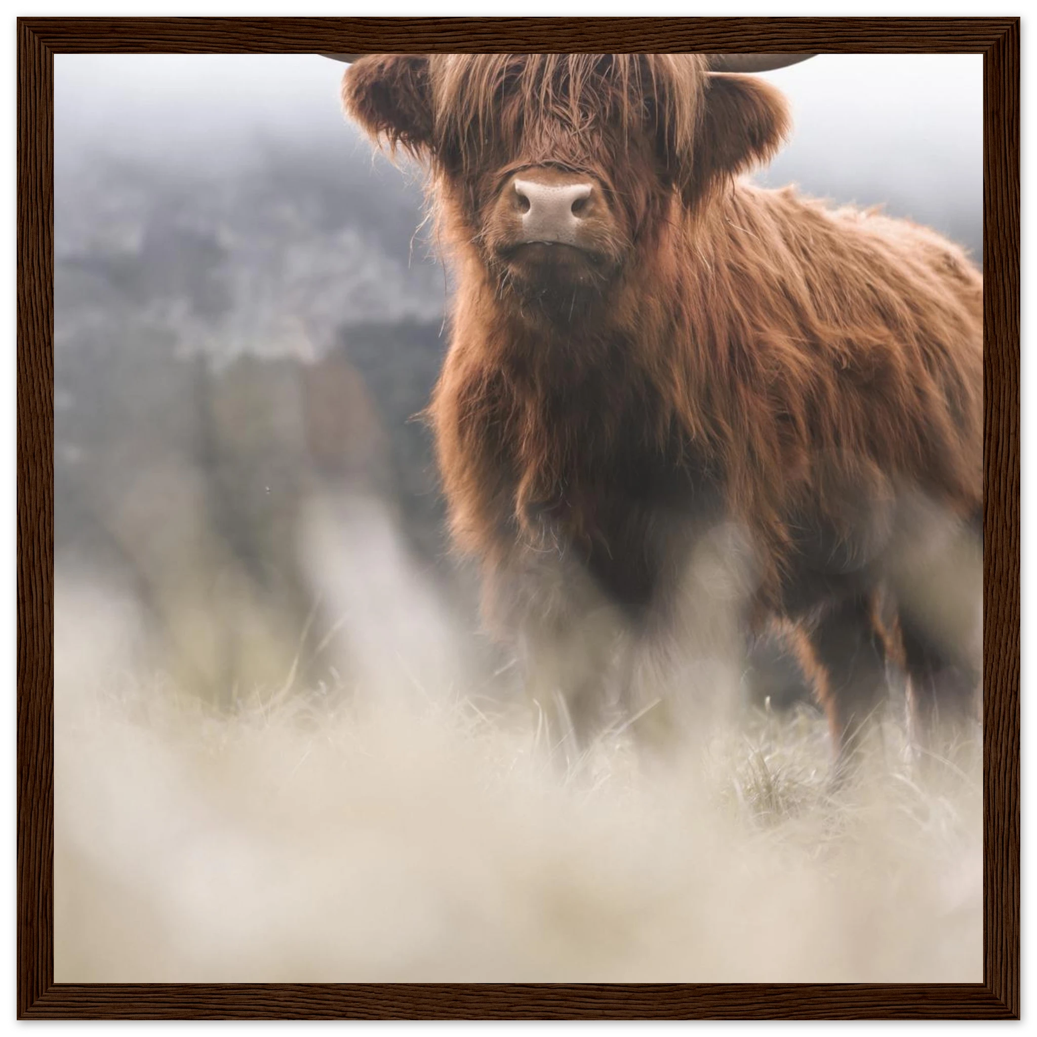 fbf099e9-bf90-4aa7-a3c9-5e99e82ea789