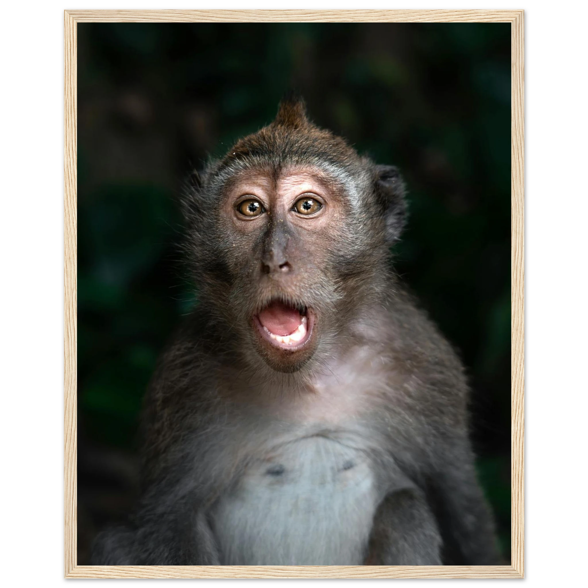 fbf1f3c5-8129-435b-b2db-9225957eb551