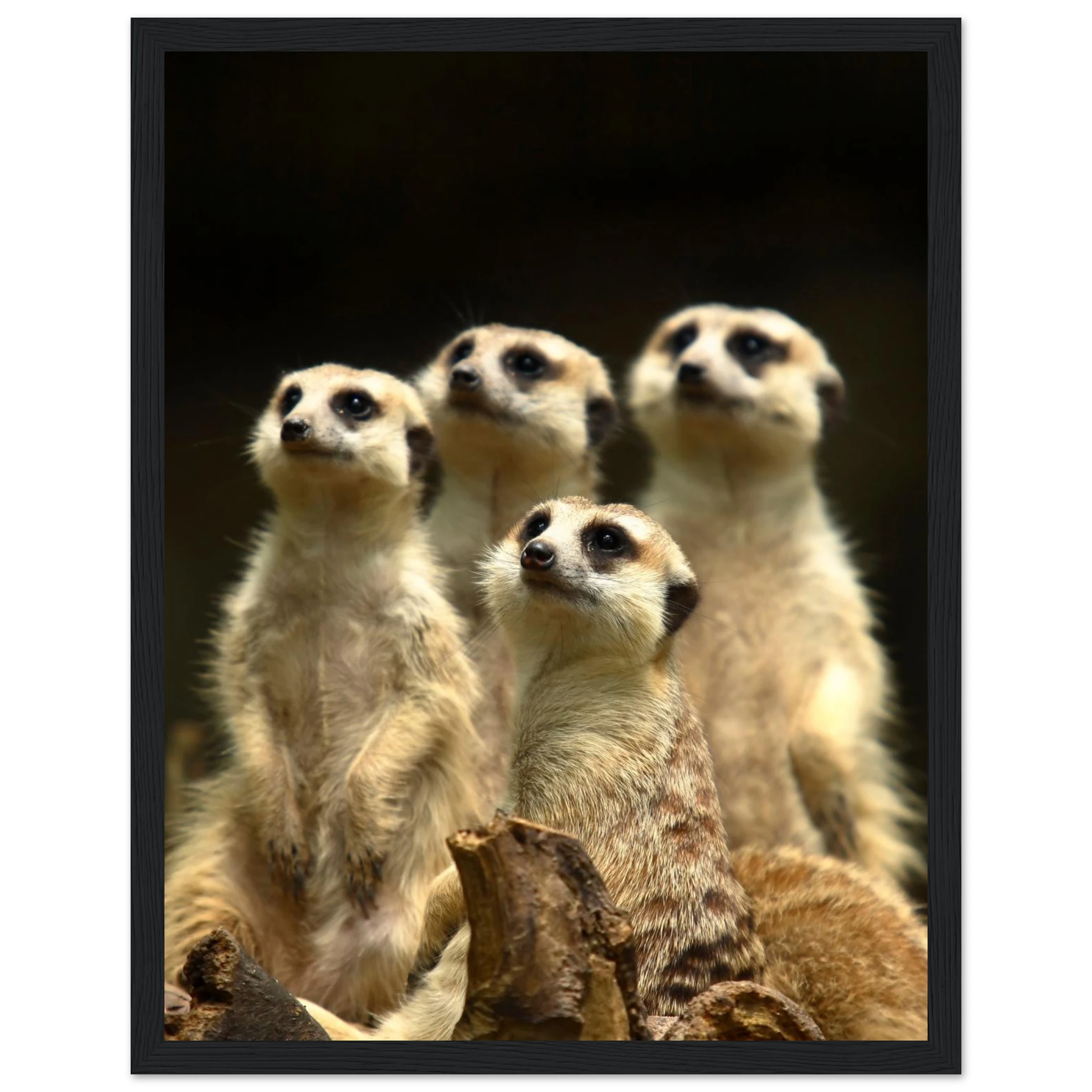 fc09d8c1-91b3-44ef-aa59-0c62801d89b7