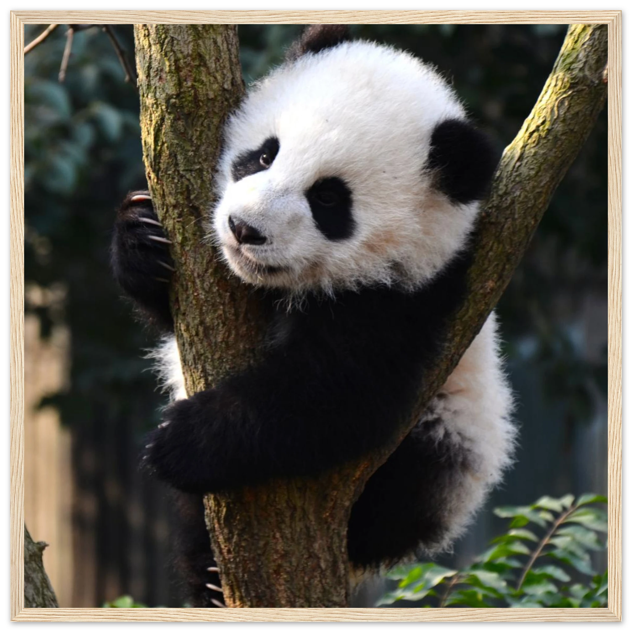 fc31b767-22cf-4ff4-8a03-ac35982fc10d