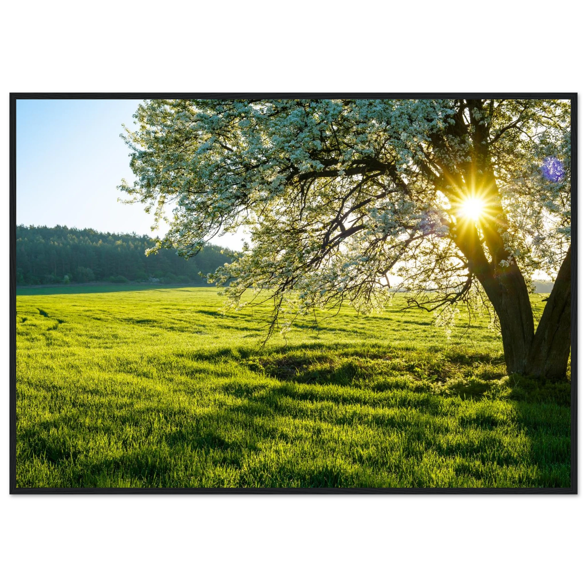 fc4c1c53-438e-4e76-ac76-25f39dc0988b