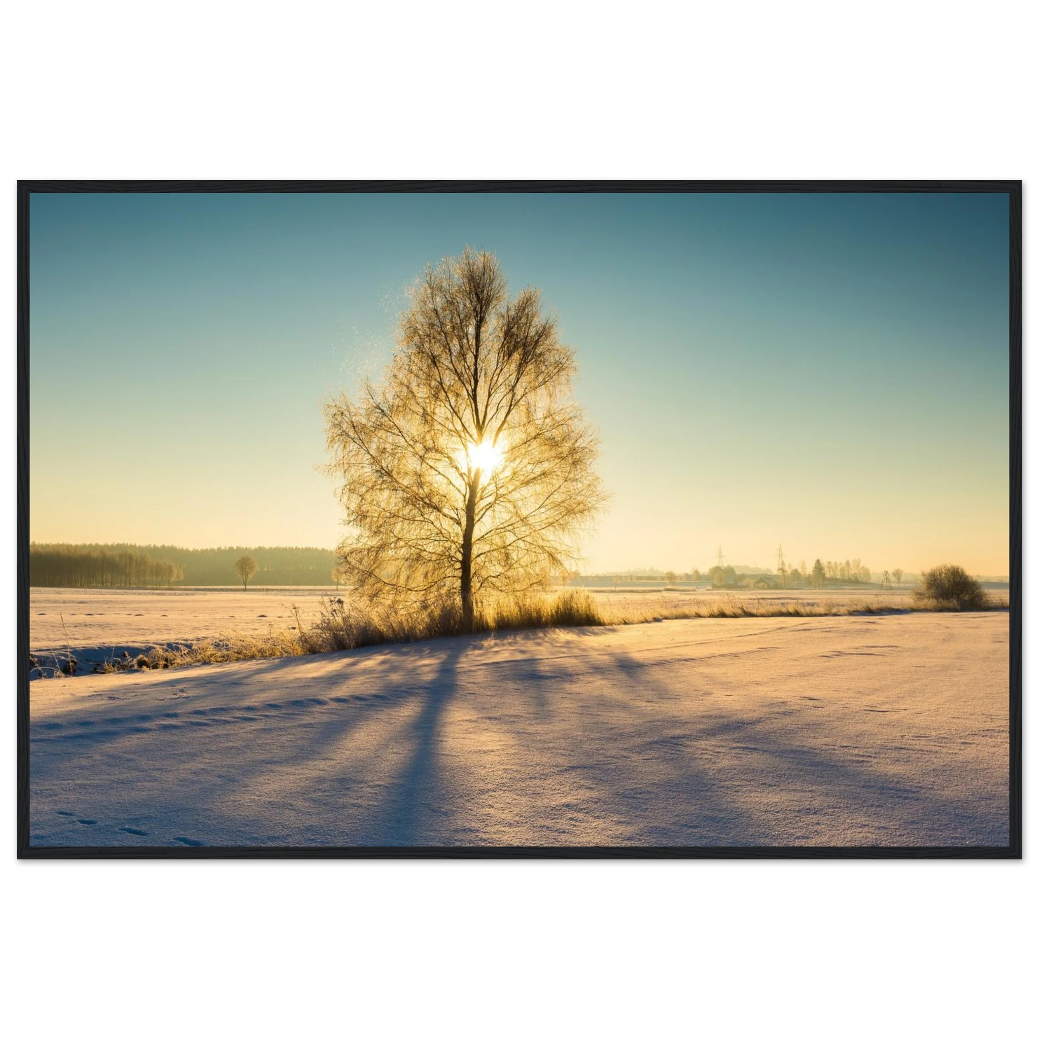 fc55f161-ce93-438f-be17-9abc611d284e