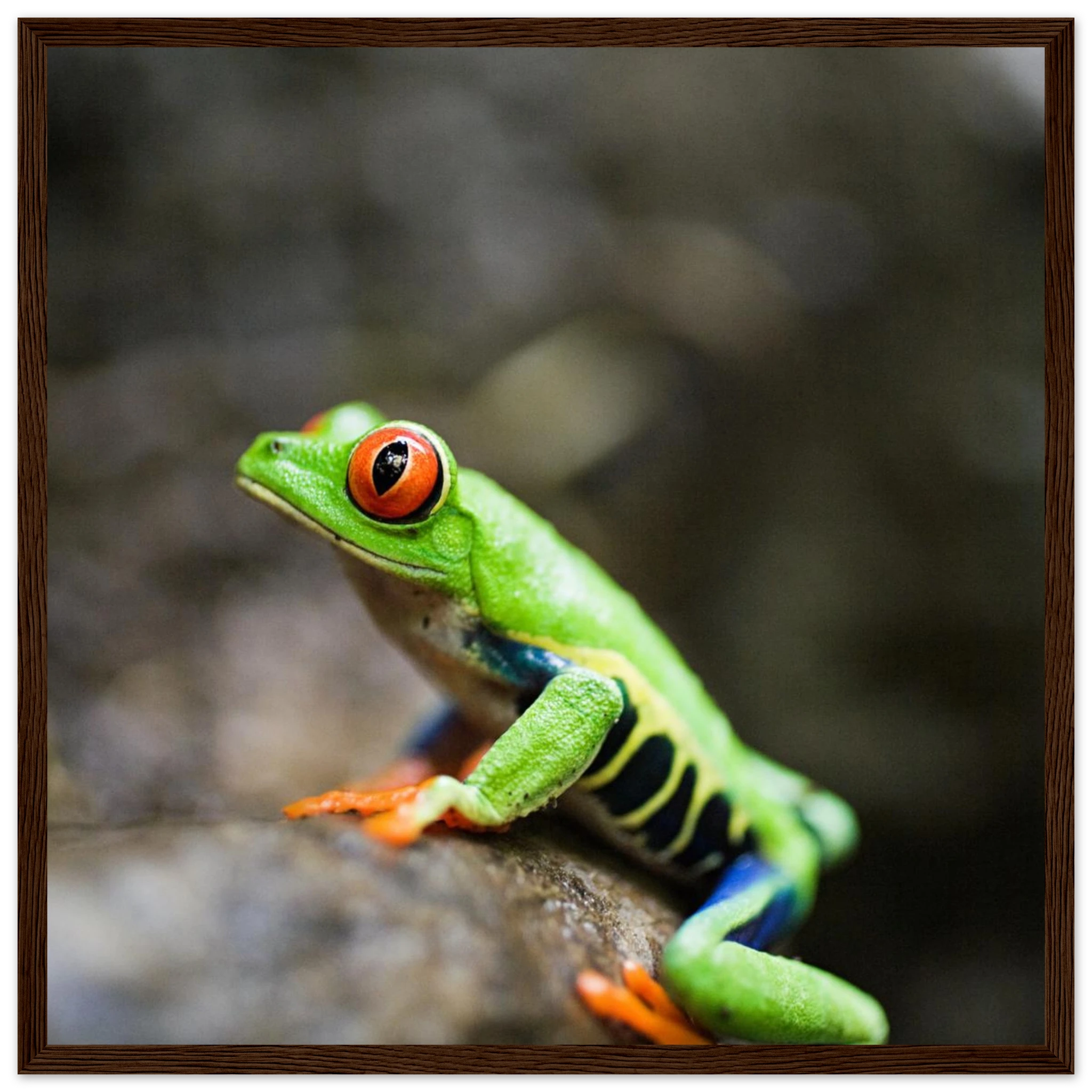 fcce68f2-68eb-4340-9f8c-e9b22df69a1c