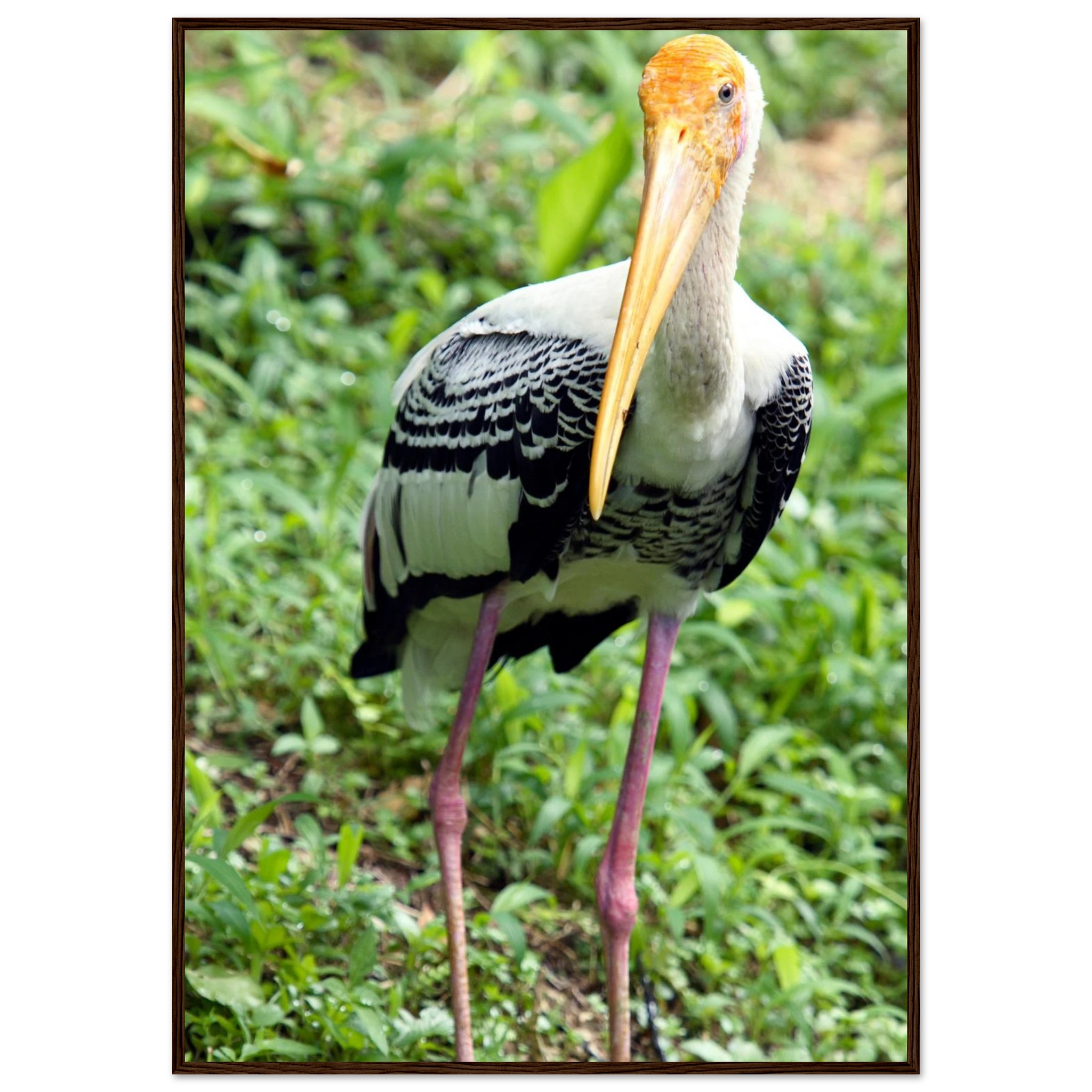 fd0d73b8-09dc-4c6d-a218-9cb6ba69b945