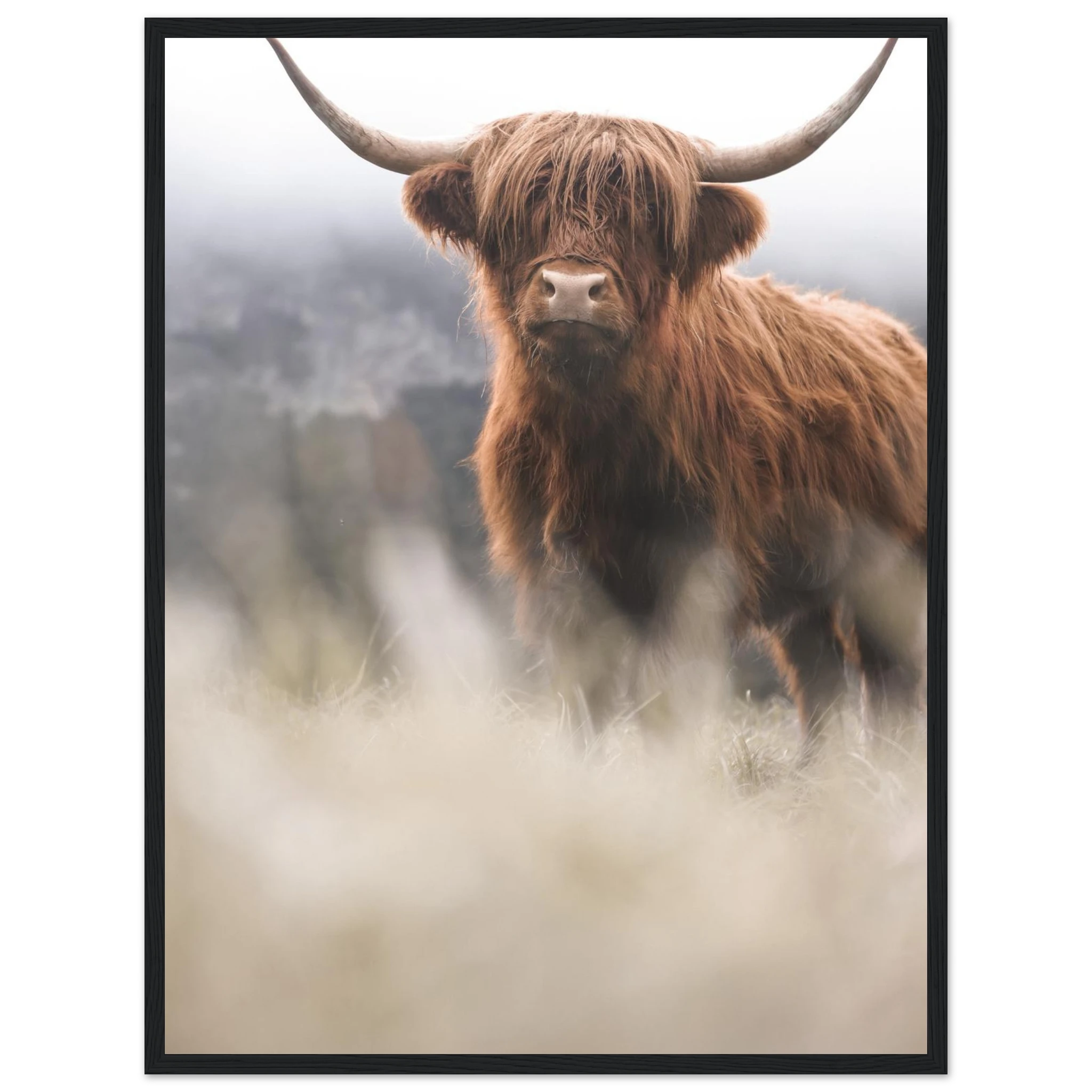 fd147abe-432f-4d79-bd58-08780b0a8203