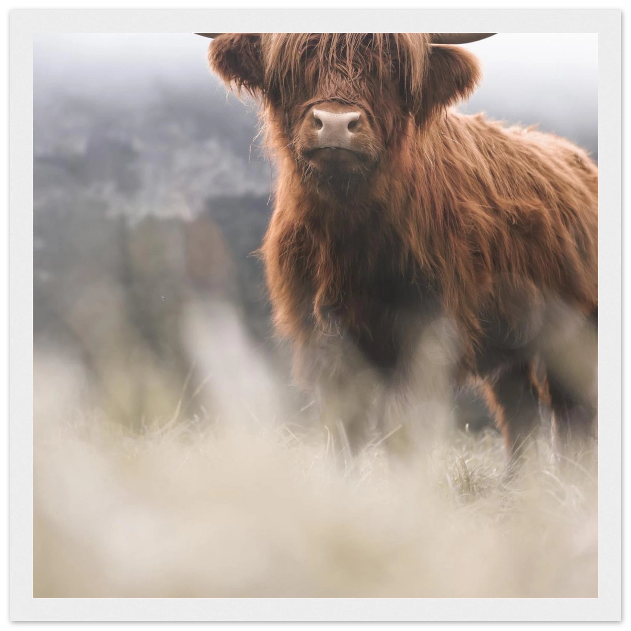 fd1d9457-63ba-4fa7-b72e-65ff0d21e696