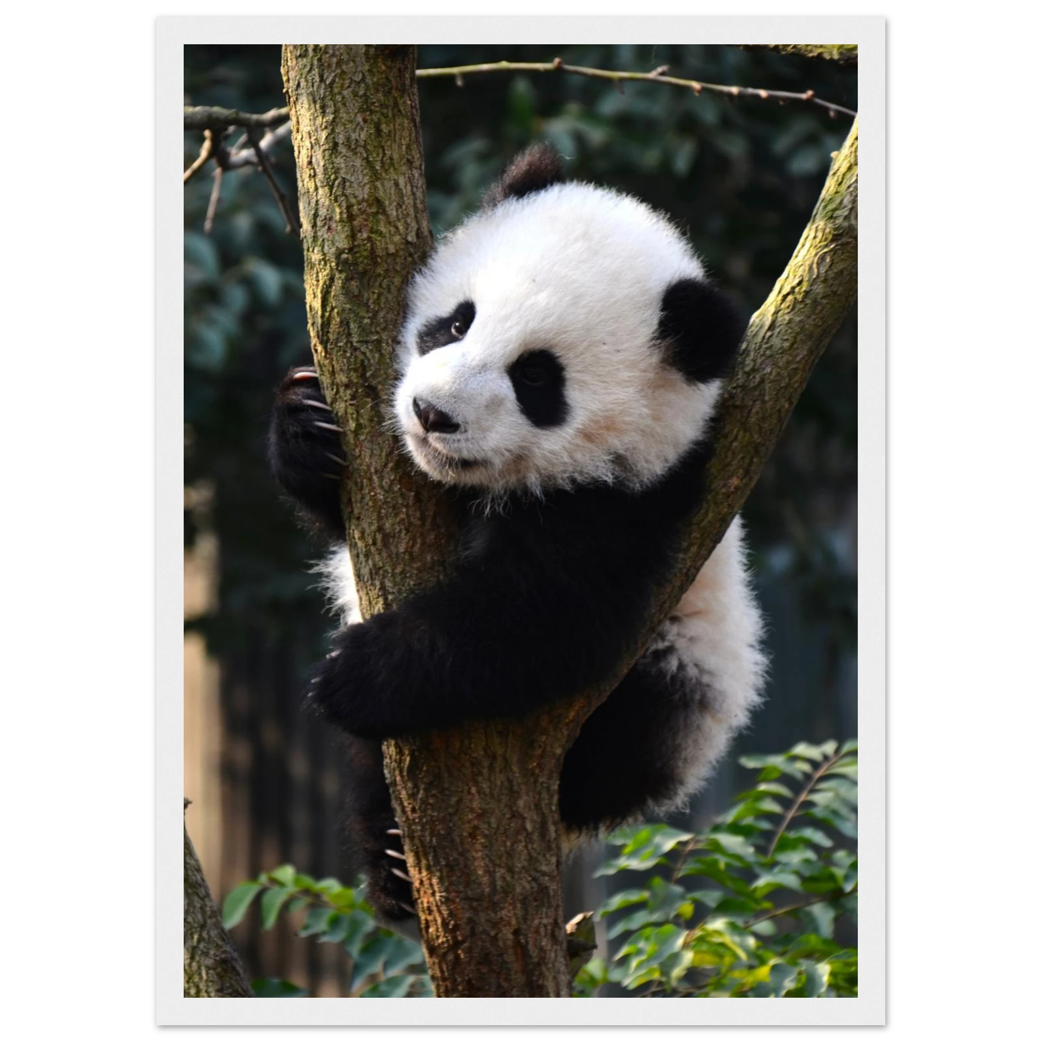 fd2356ce-6d85-4c8a-be70-d8fbe3b66a2d