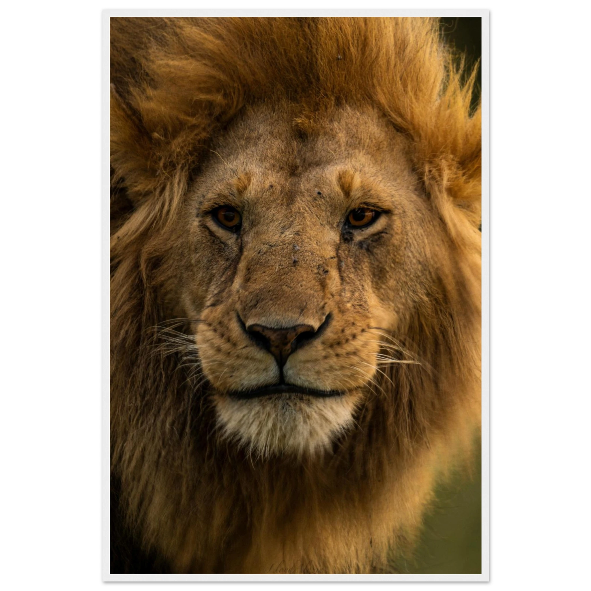 fd25c829-f29b-4fbf-b3dc-7df6af03ba16