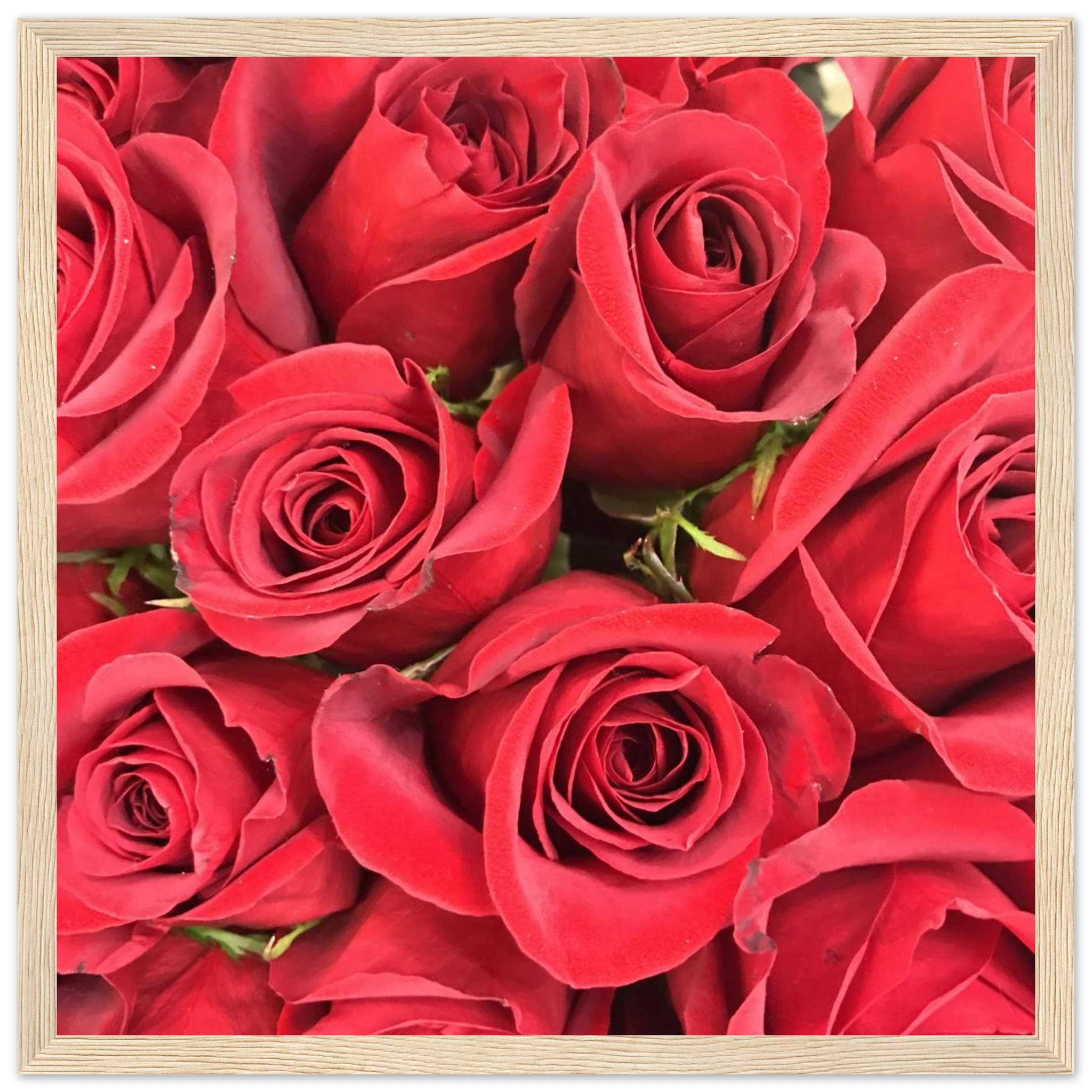 fd32e25a-77b5-4a6a-a7c9-4a8e5211697c