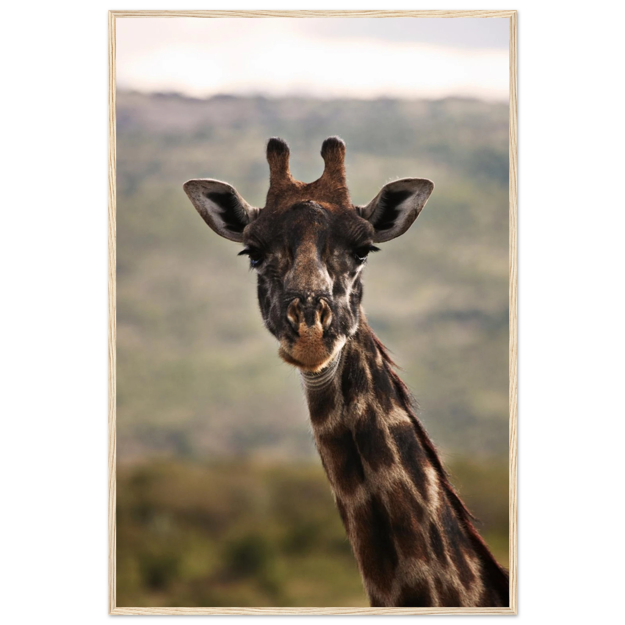 fd5d7599-8feb-44a8-9c6c-c8f930e1abc4