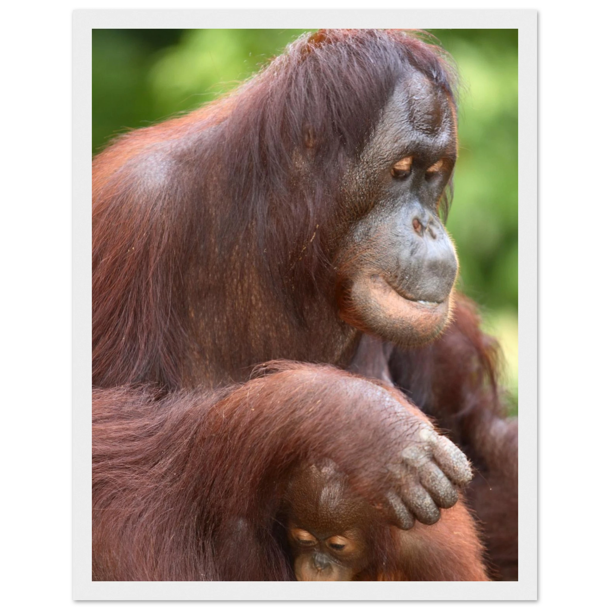 fd7fd0e8-5302-45c3-ad09-de6bcf465012