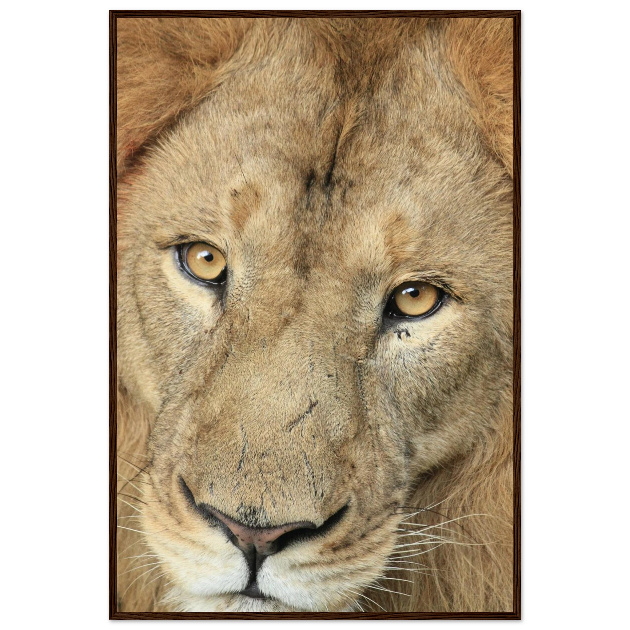 fd92d4cc-c9c9-43e6-8187-486ecf87b2e0