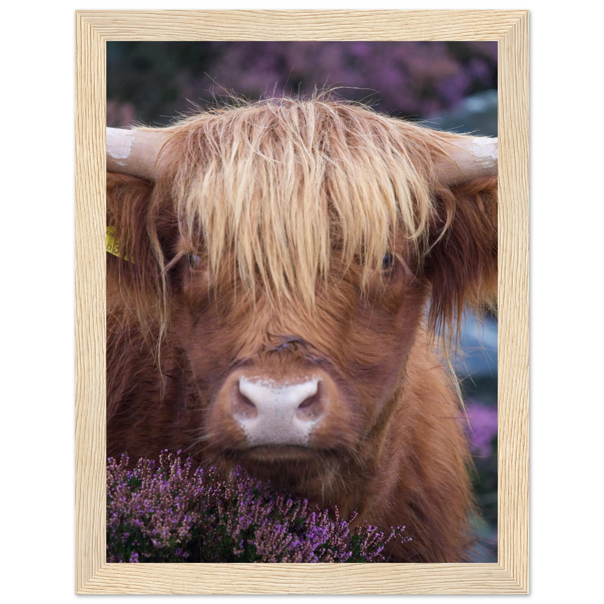 fd9d1e5b-004f-4cef-9f0c-5f491e6e7488