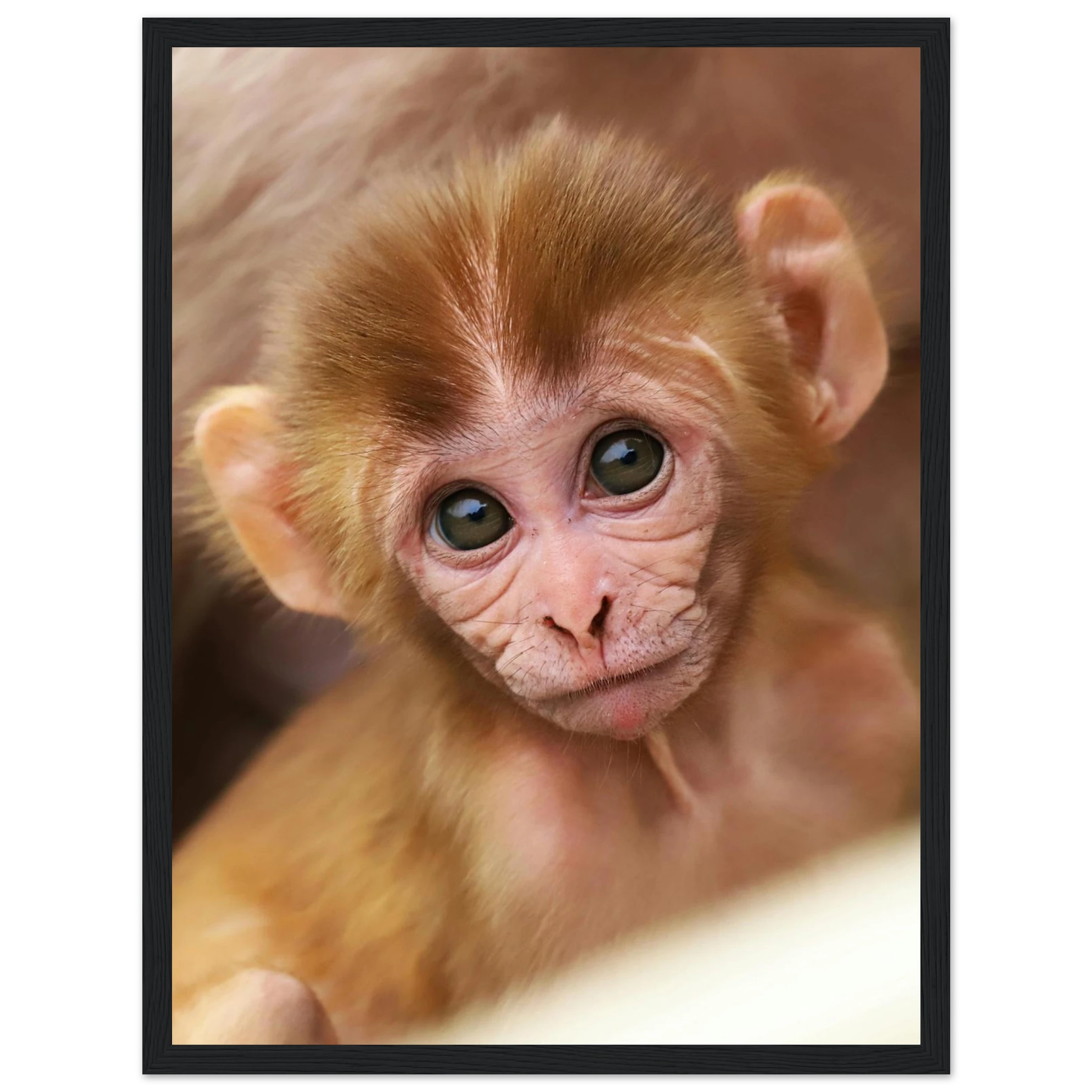 fdb843cb-885e-49a8-8f1b-2bba6ca09daf