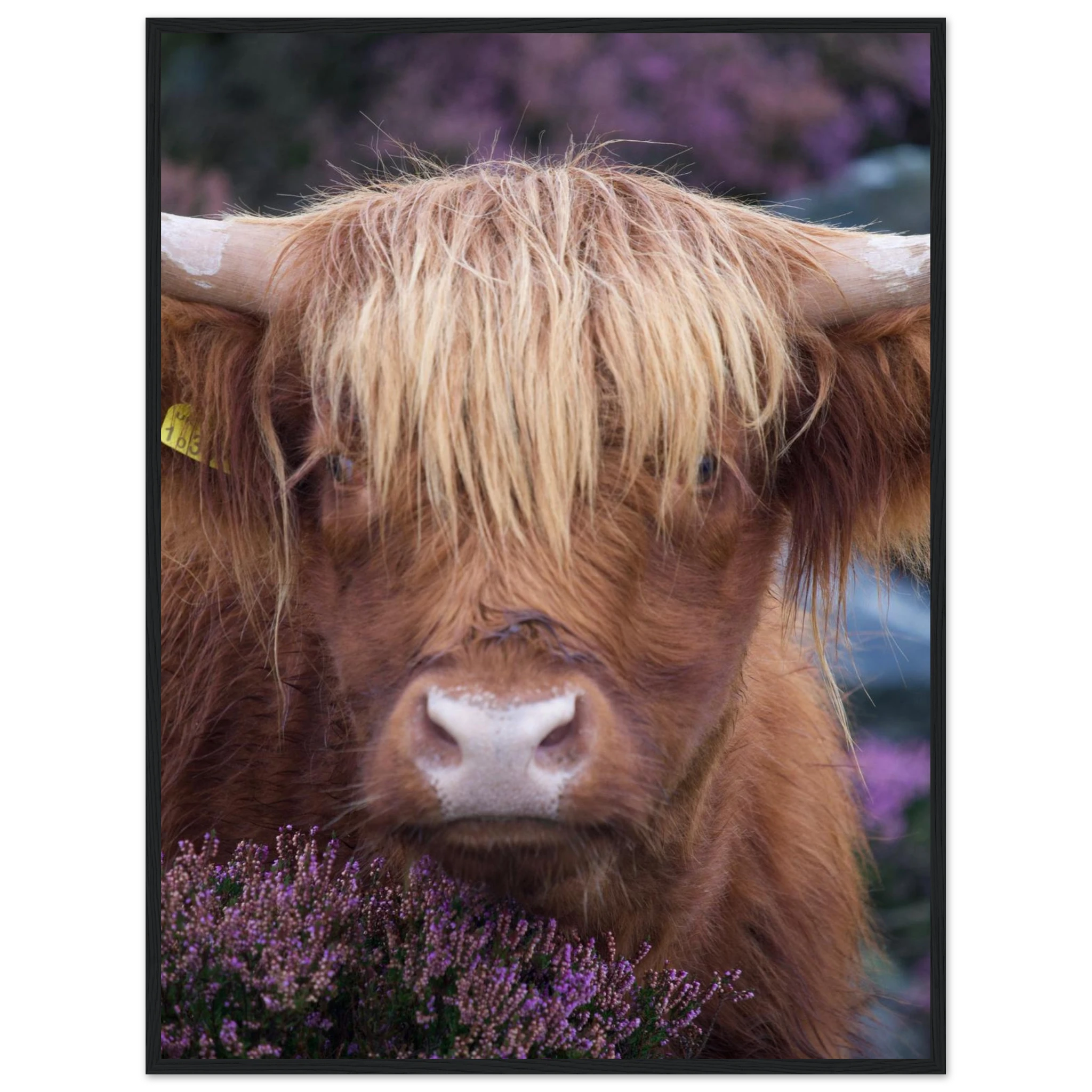 fdd105f0-3720-461b-8ceb-cafdbb1d4b58