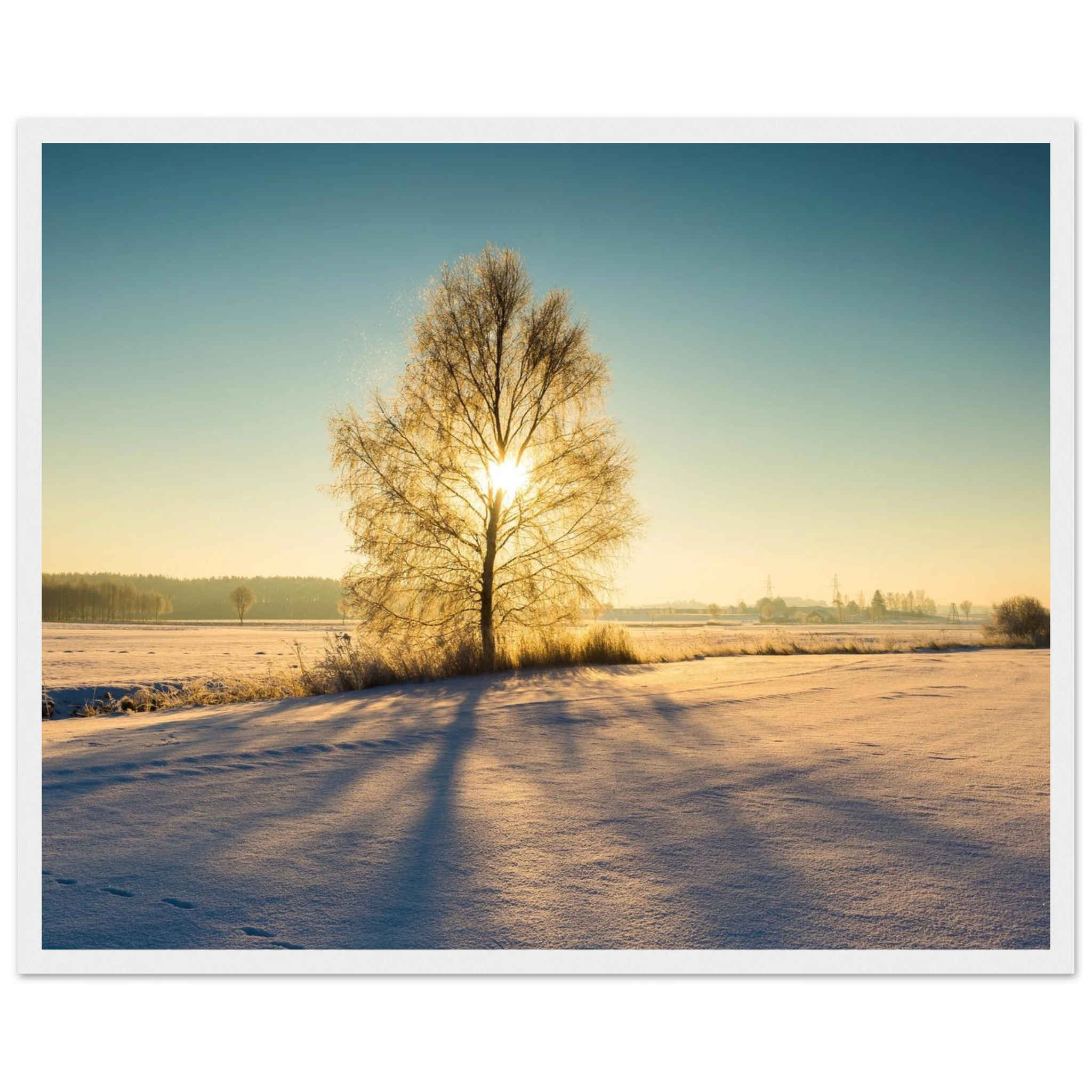 fddc4806-d48d-423c-be11-db201177eeb3