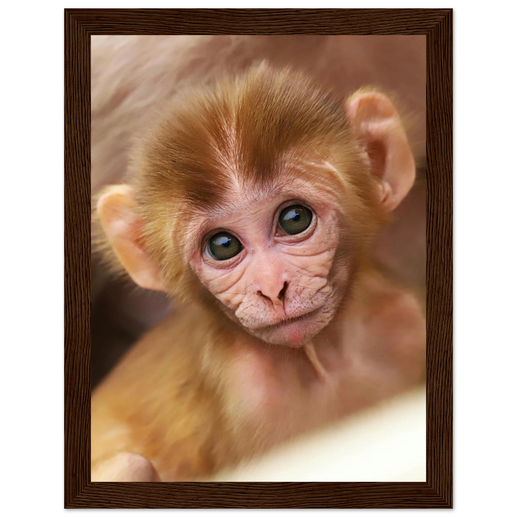 fe011311-2ff6-41c5-8eaf-3e94129bb138