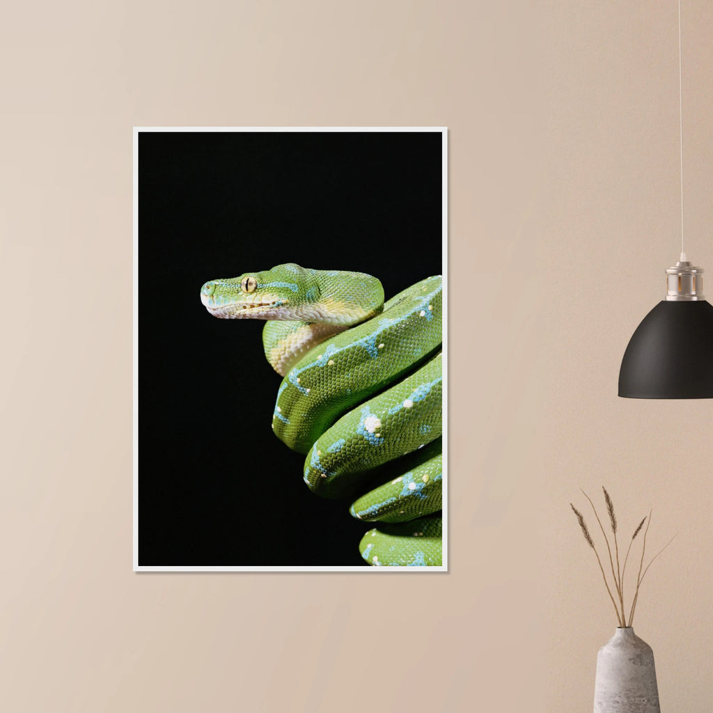 fe1279da-48e4-48d4-8593-1d9a63c95d39