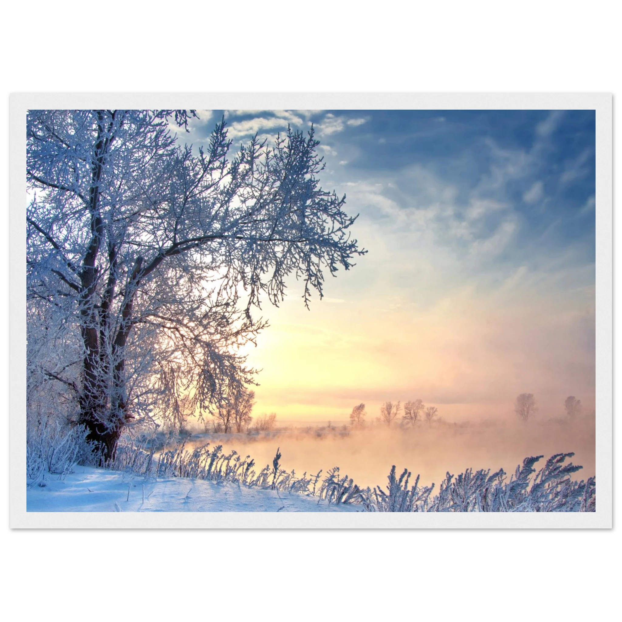 fe17e1eb-9a26-449a-8504-a15935115396