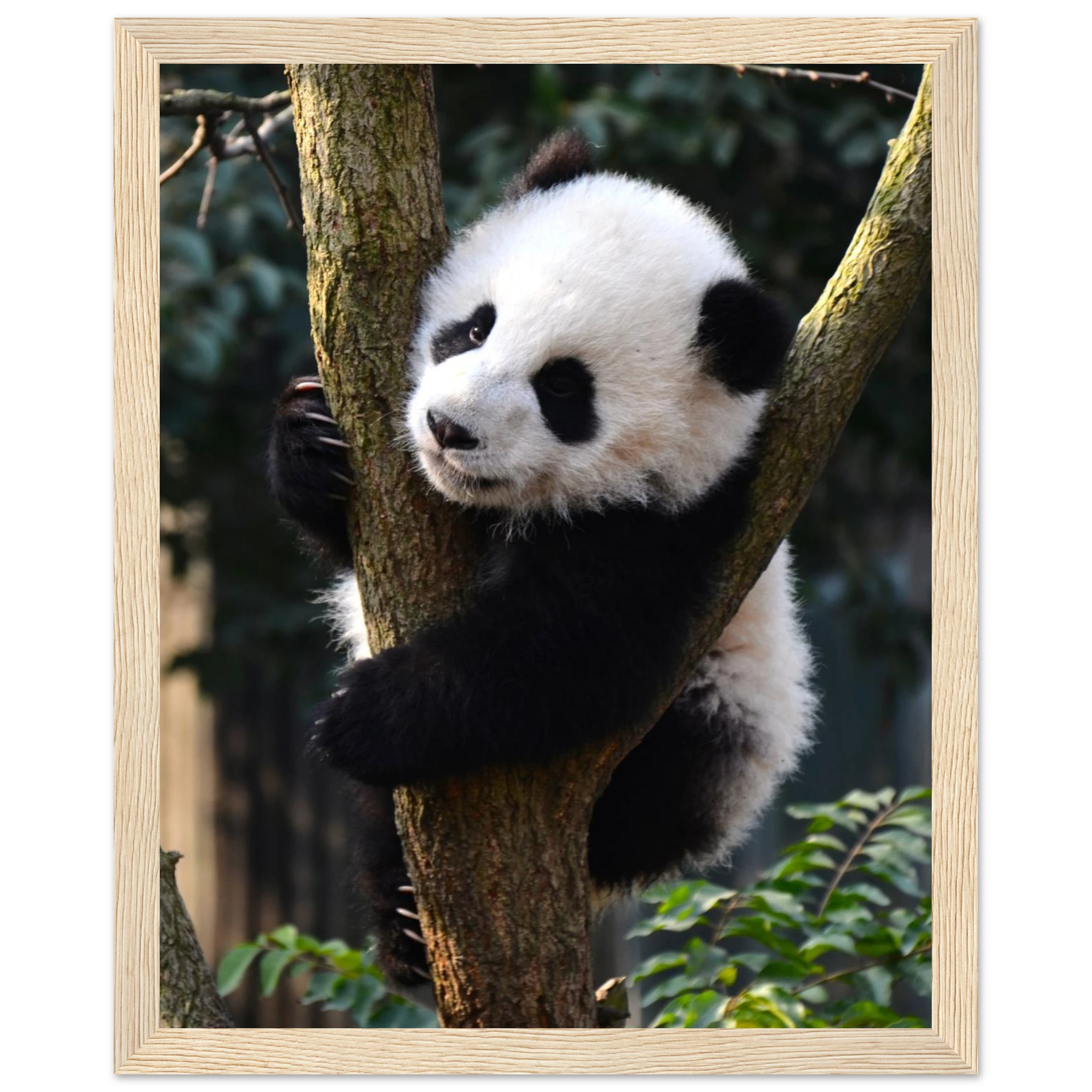 fe23b21d-ce56-4e42-8eb7-bd60406e7d21