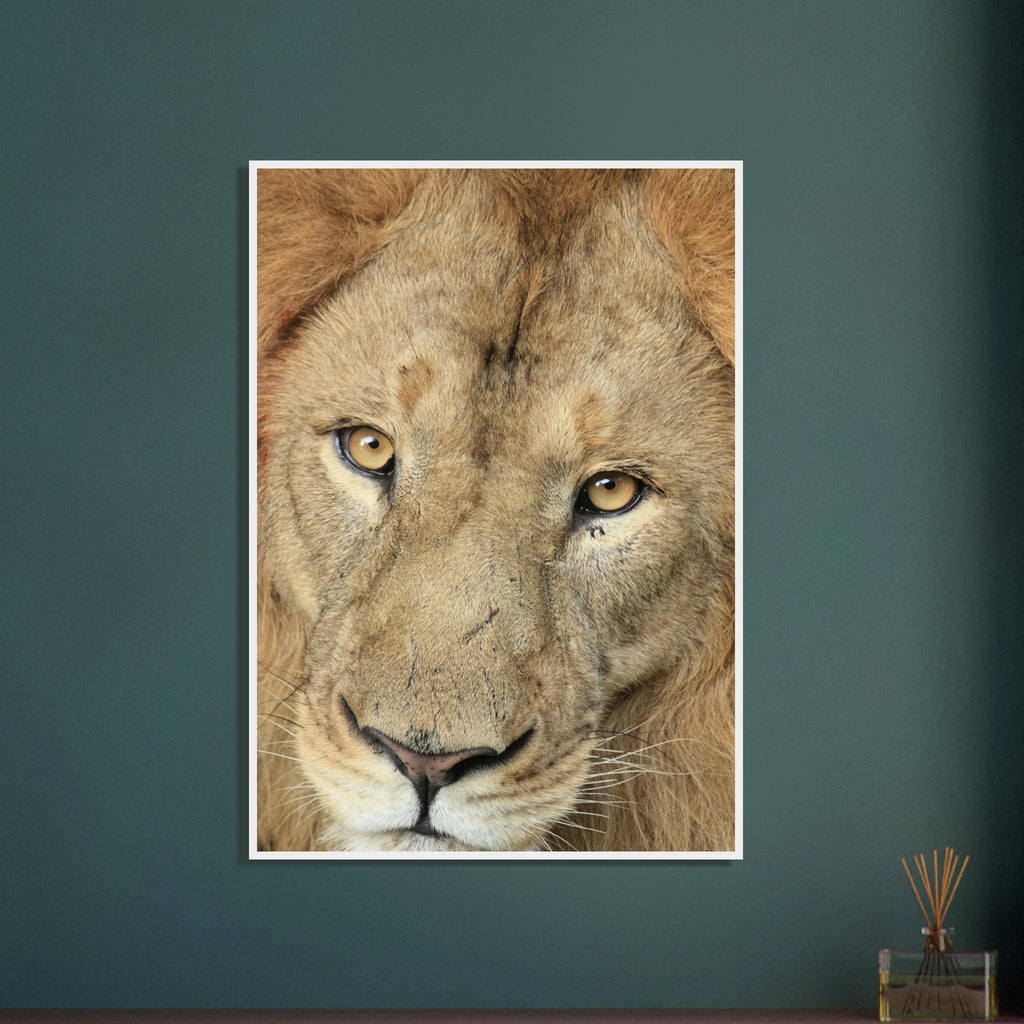 fe4e23be-8e32-4dc1-b5f5-920a8de587a0