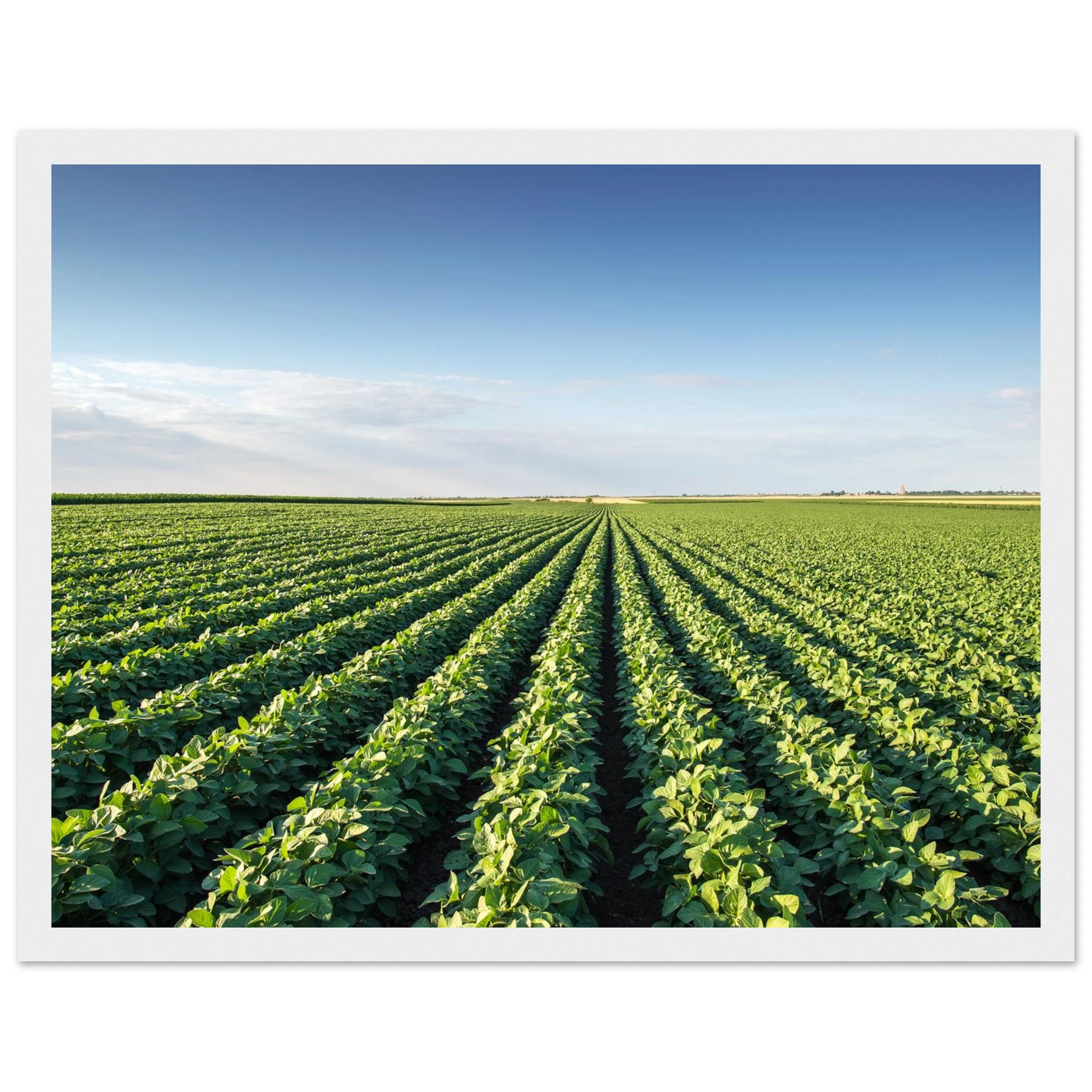 fe5137ab-ebf4-44a0-b901-84e50e887cc6