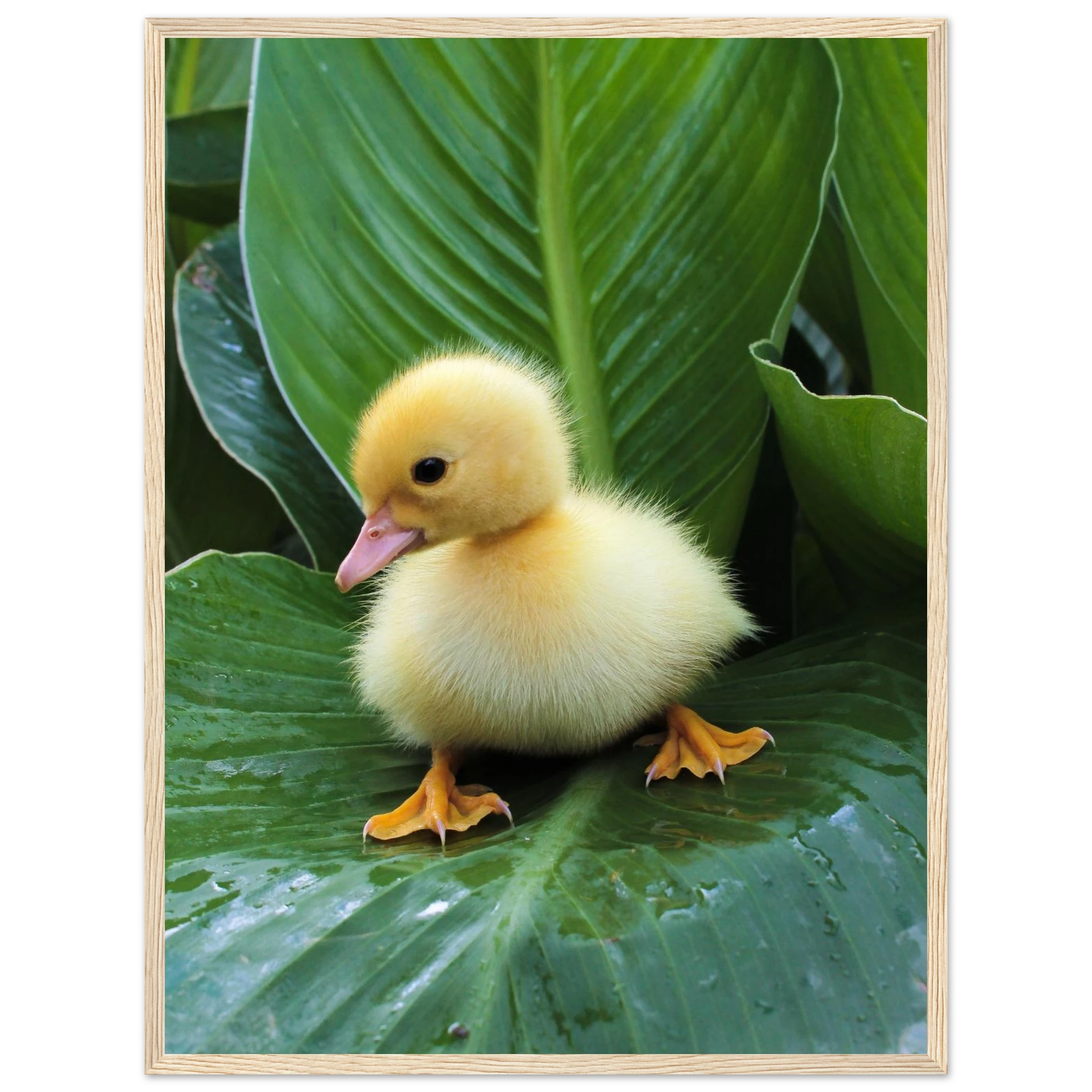 fe5ac049-4918-4385-9cd7-2ea570bafd96