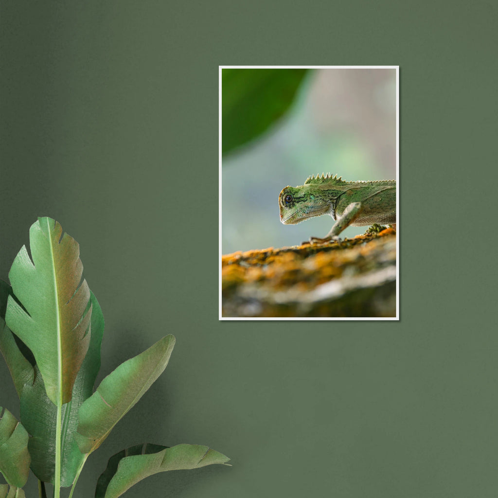 fe659346-4e82-4b4e-8b0b-55812e5c5f82