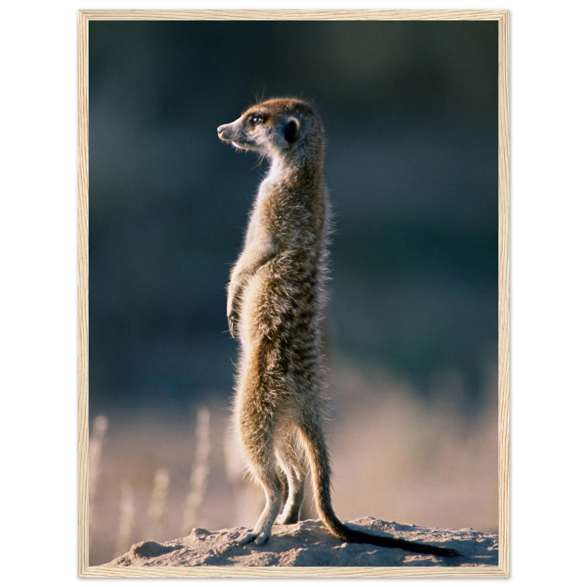 fe7236f7-c553-466c-977b-091278426a8c