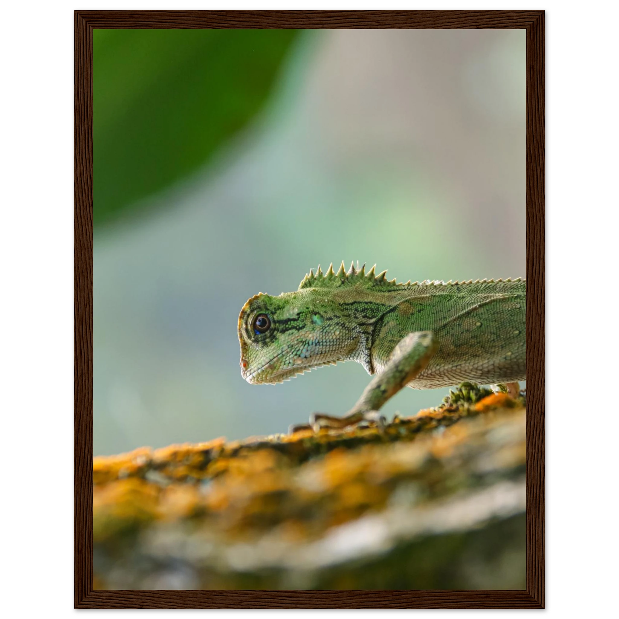 fe78b93e-b953-444e-a10d-30c7059e019a