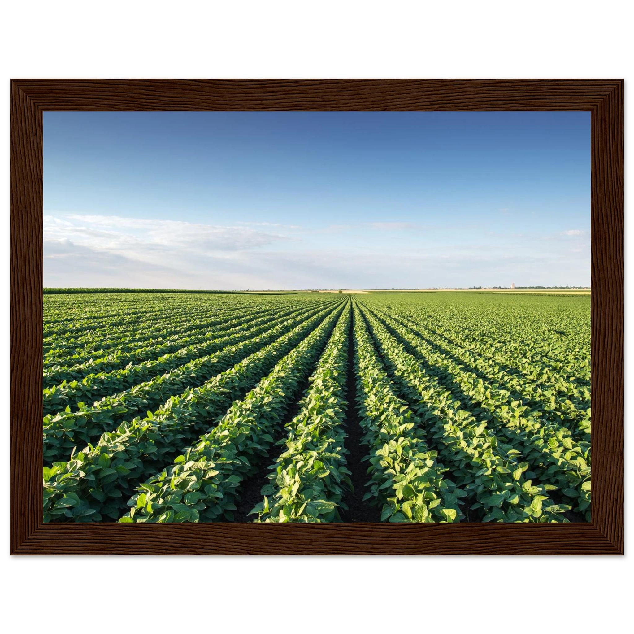 fe79a624-fb3b-4355-919a-14218e35133c