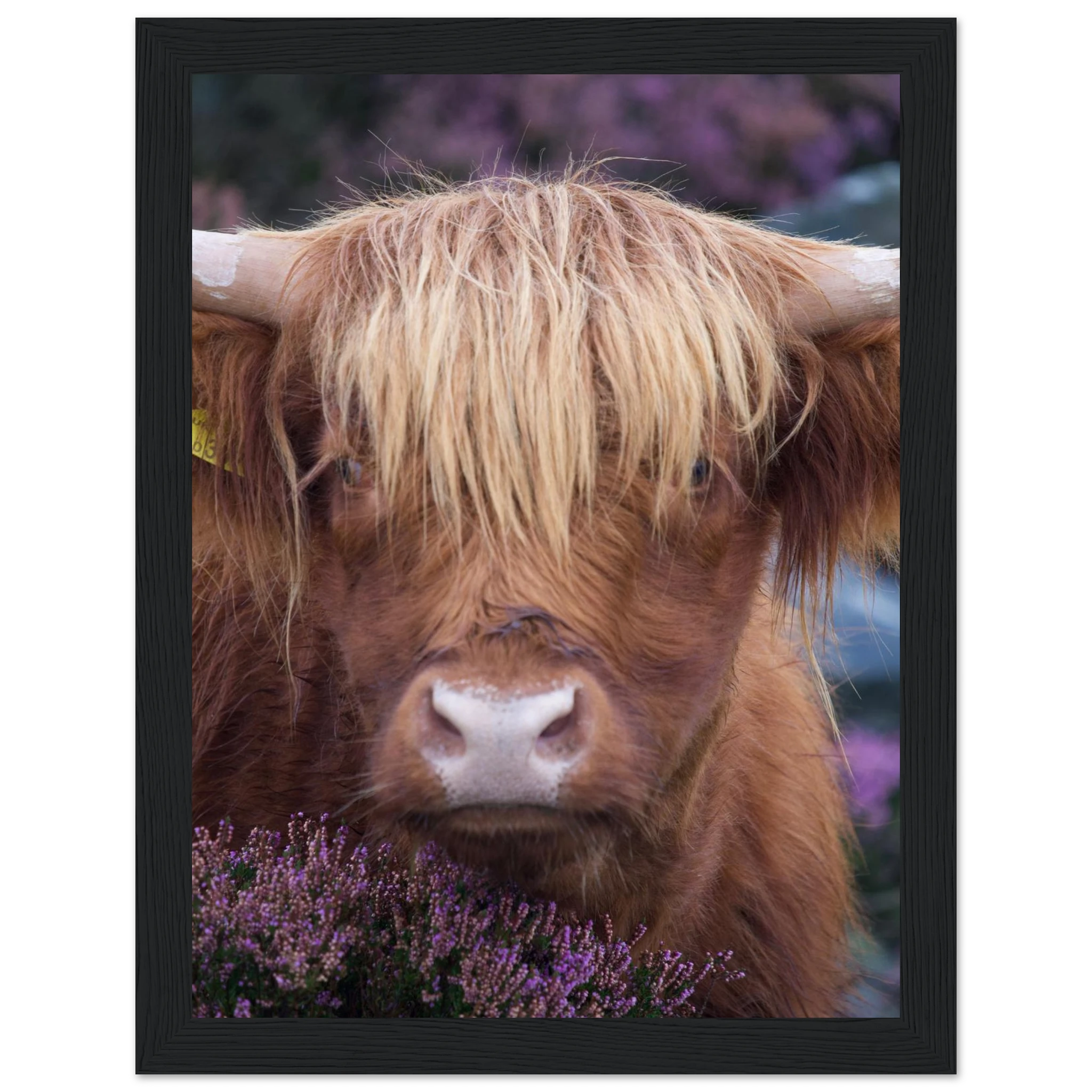 fe79bcc7-333d-4b65-9b5d-f27dc38cfdb0