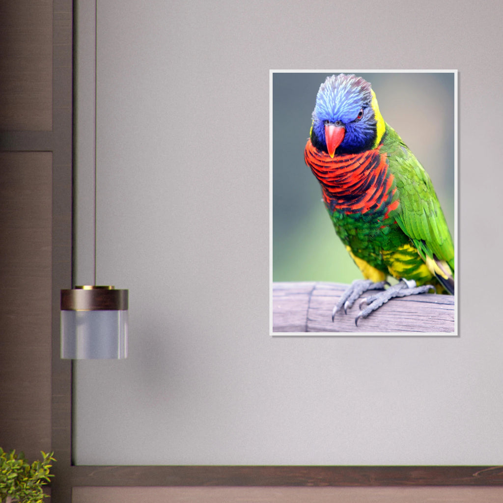 fe8ccc8b-4d65-496d-b9d0-7c33d18179fe