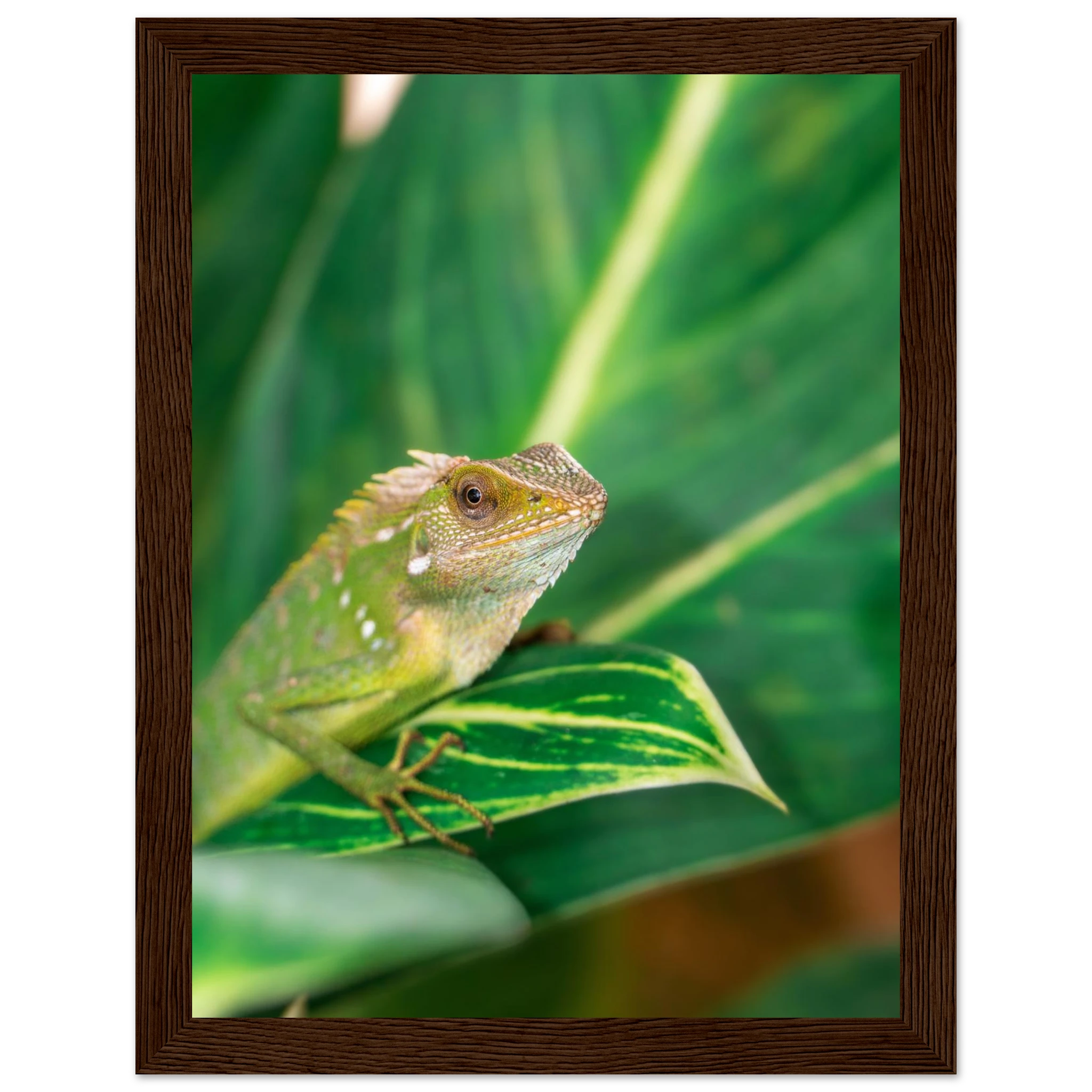 fe8d4e66-195e-4c1e-9bca-be0e936def78