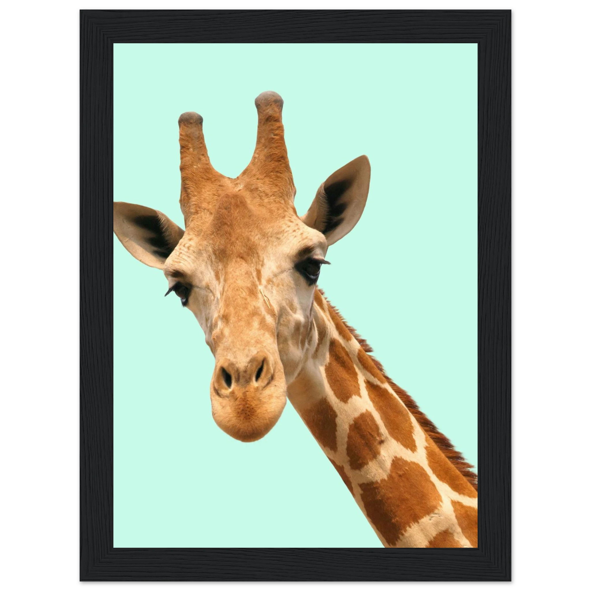 fe957b27-9fc7-44a4-9195-b8138873eb66