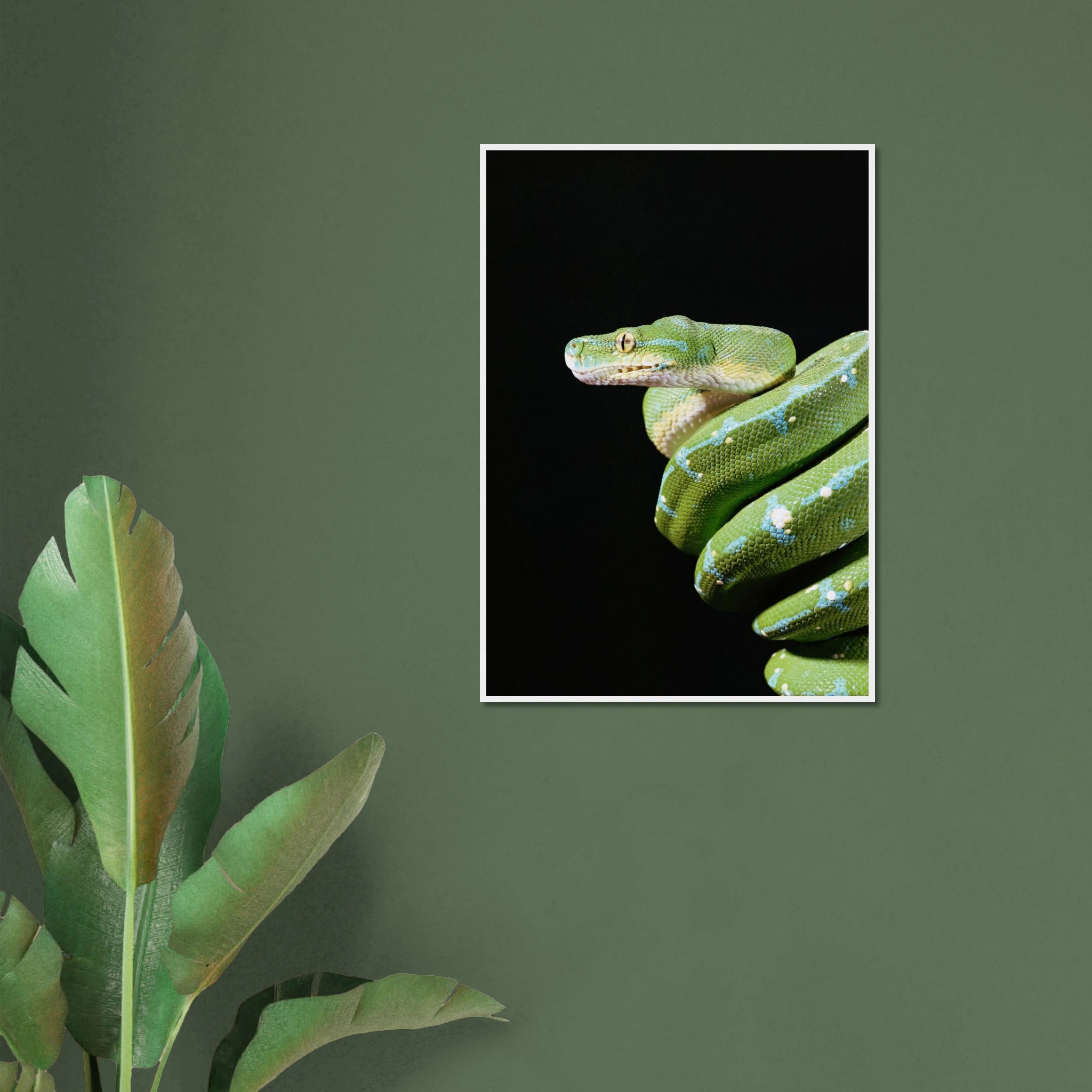 fe972c73-f712-4401-88ef-814f7a01093a