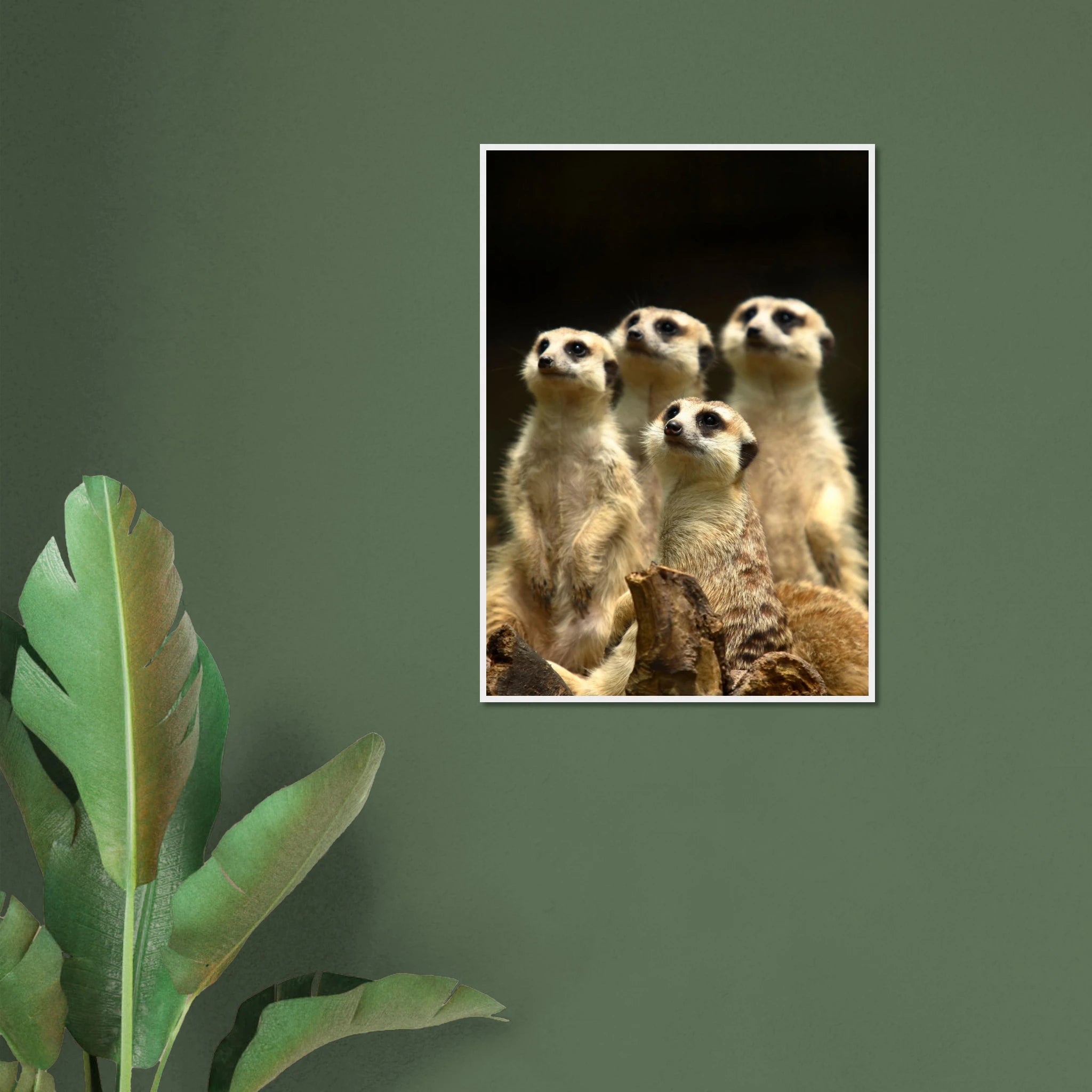 fea3ca7c-f6f9-4f62-89ac-684ca32bac1e