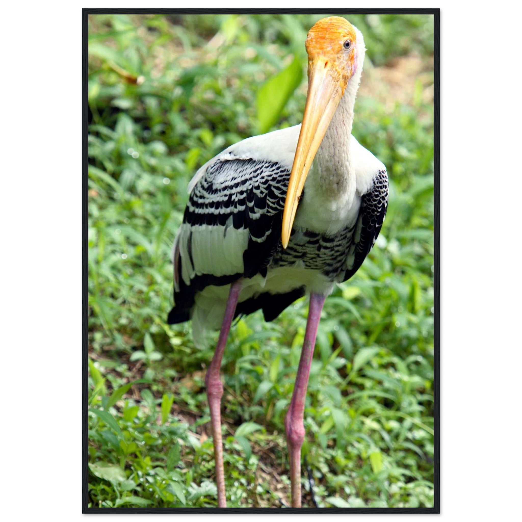 fea6710a-5d83-4688-8cd2-7664e4eb9459