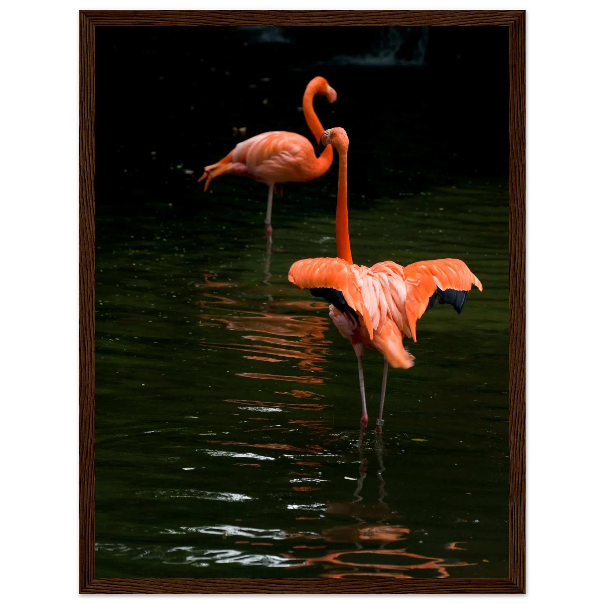 feb1f36f-ef60-4ef4-8202-7a57ed22e315