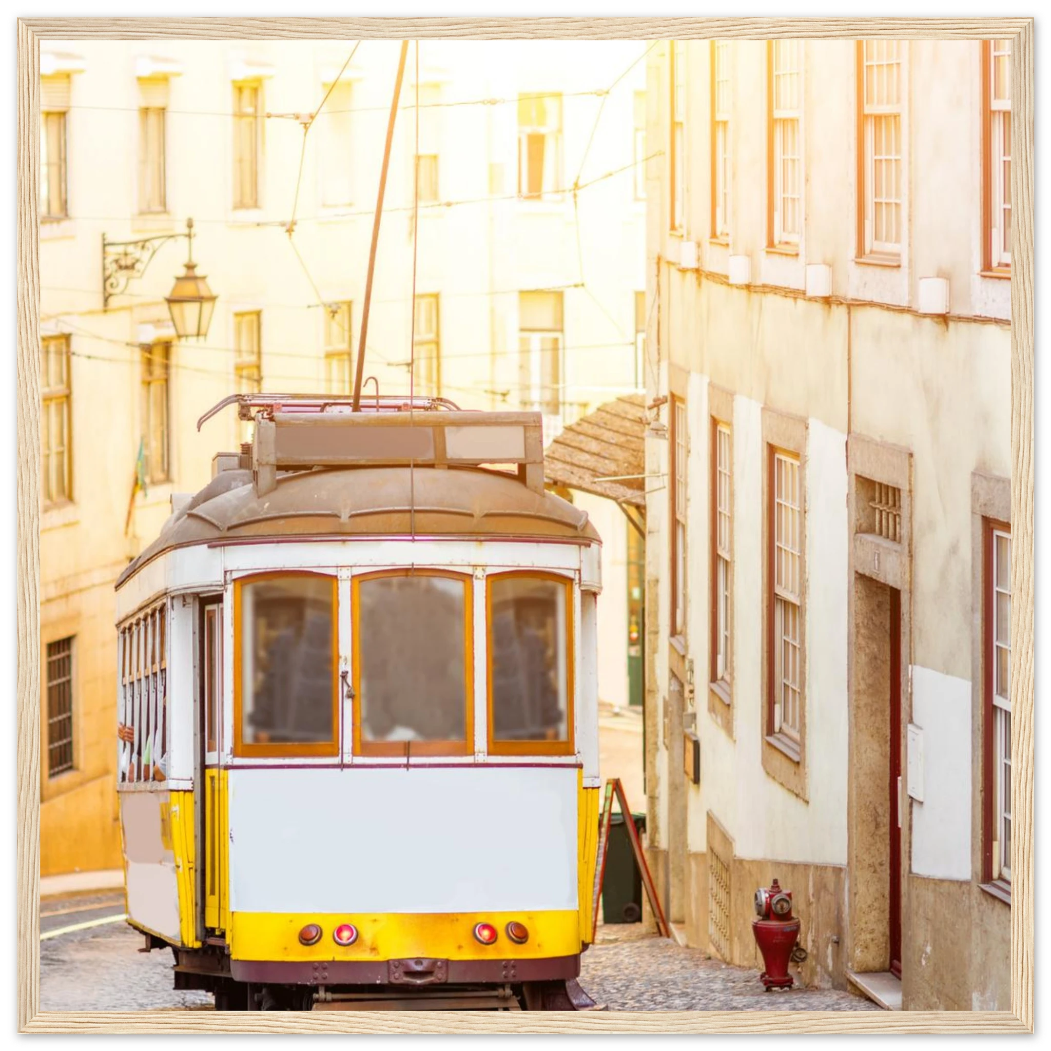 fec76028-a16d-4a20-9ee7-4524a66ce327