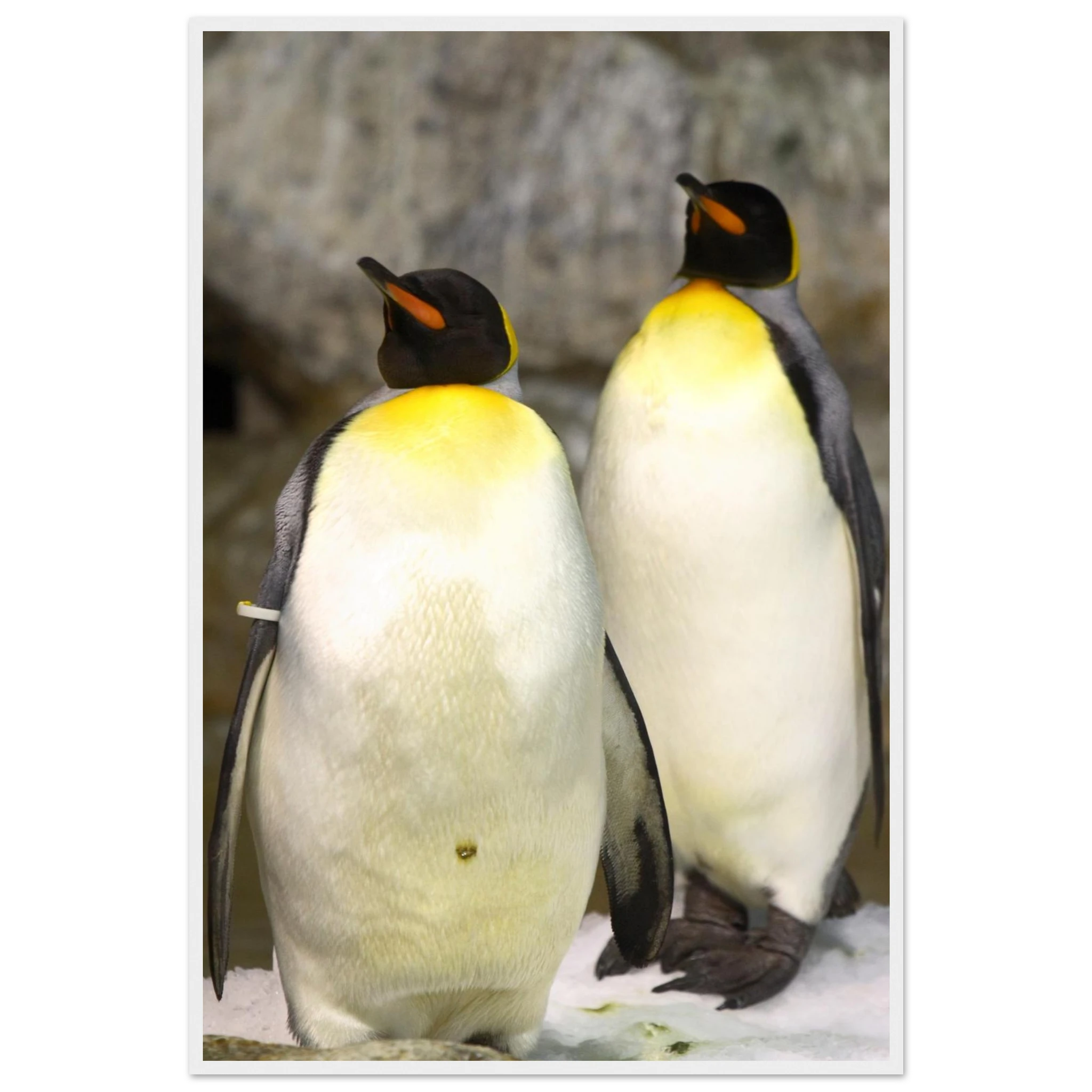 fee4744a-1f1d-41b7-994c-7ddee0c976ac