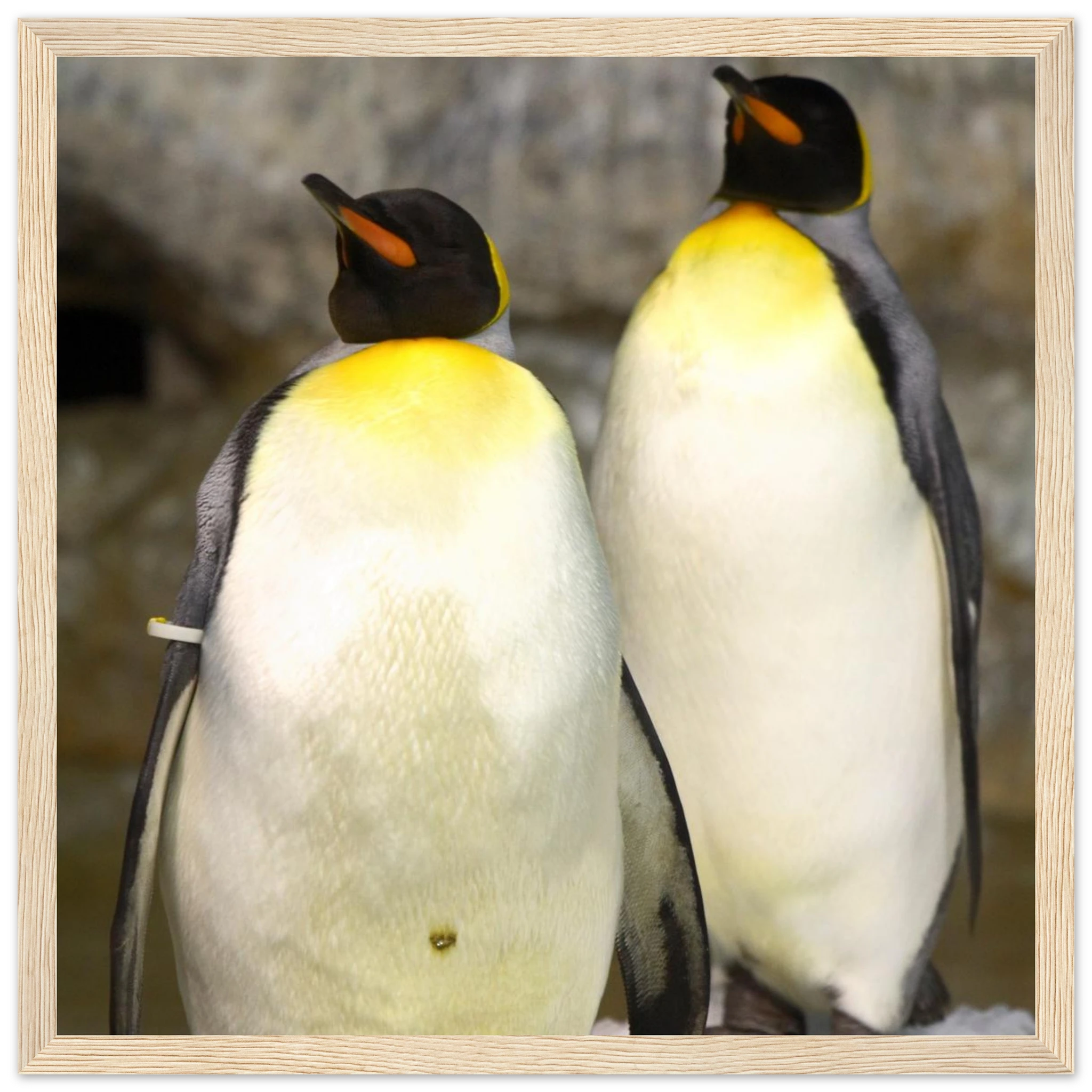 ff093072-b219-4293-a7e1-1f8c08269d17