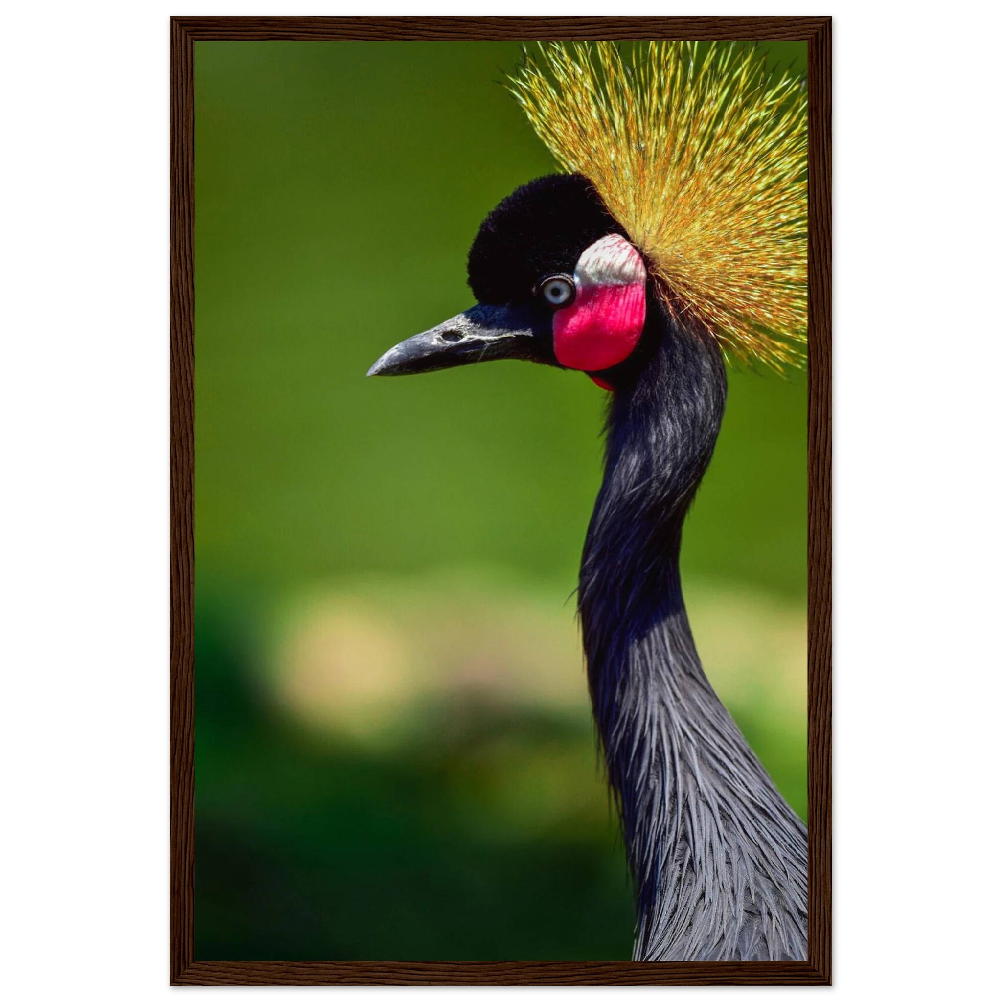 ff20e362-054e-4b5e-b30a-74406d9d128d