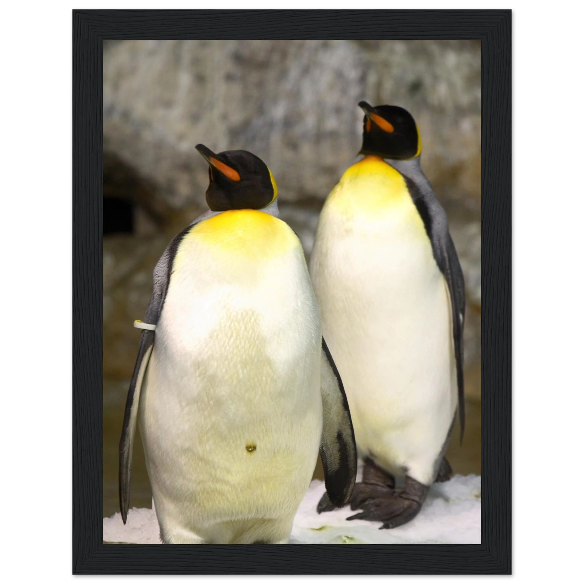 ff252c7f-bbbb-4a7f-ab8c-517abad5fd63