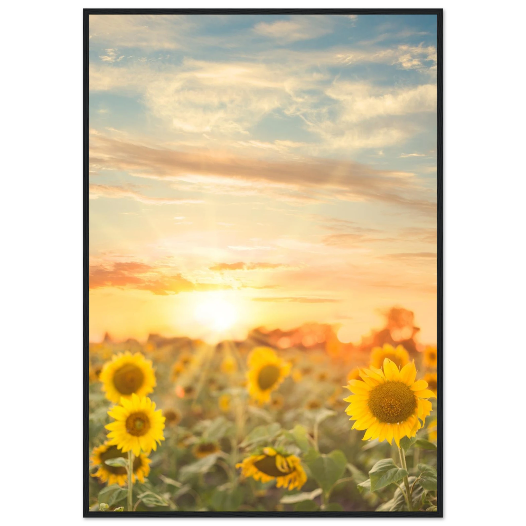 ff29339d-ea8e-43a7-bd80-25a6a533614d