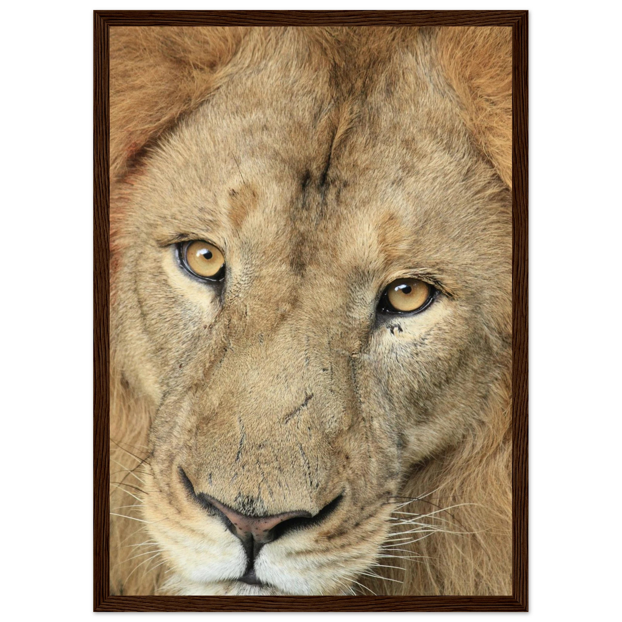 ff341c88-0115-41ed-b818-8d8d2d5583ac