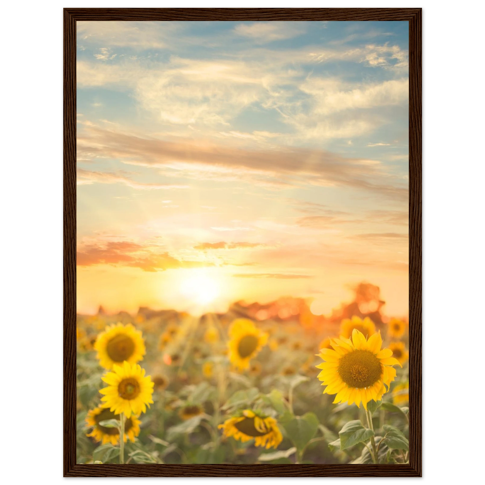 ff4cb71c-4270-4105-b689-6ef505605546