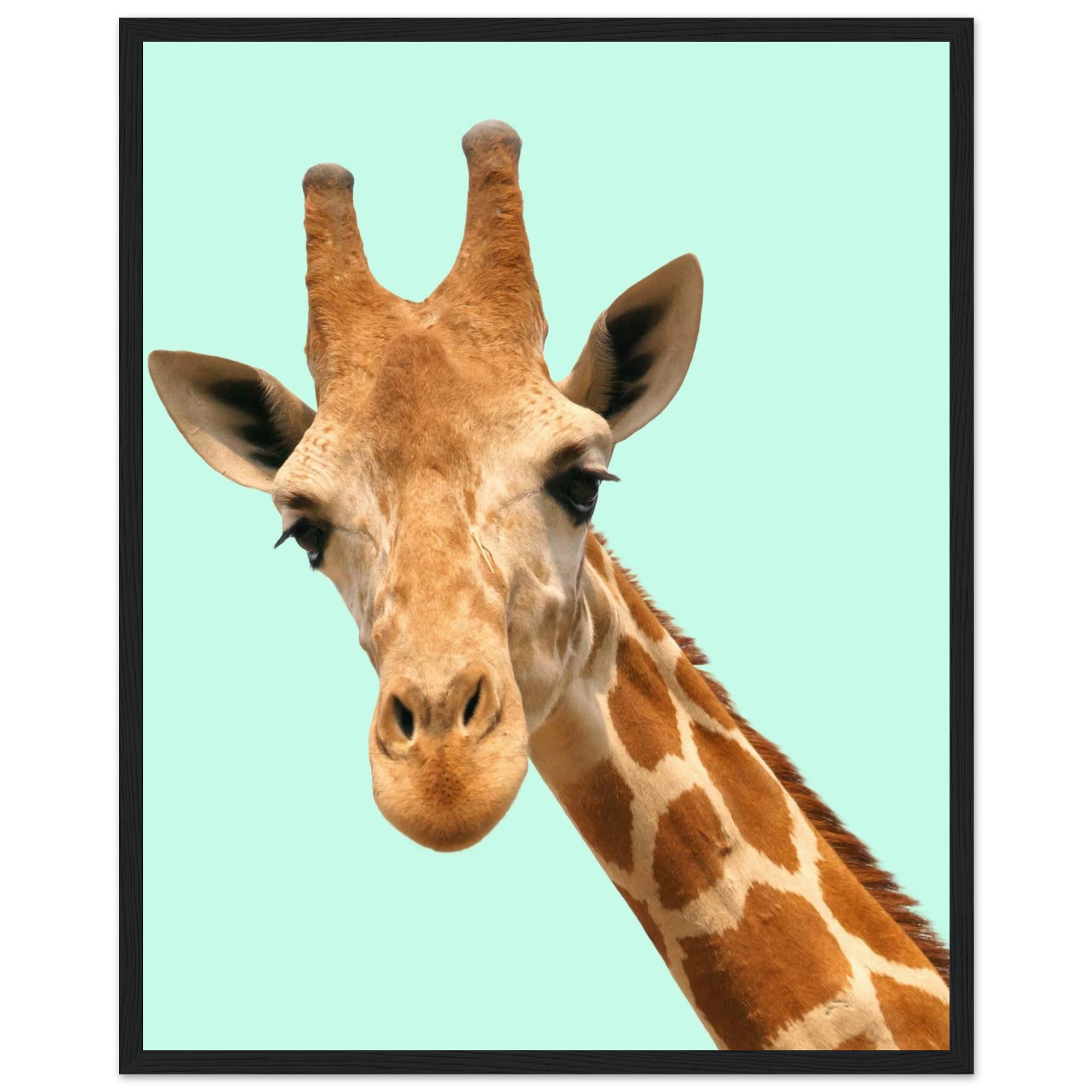 ff84dec4-0979-4ee8-be09-8f1d1a378188