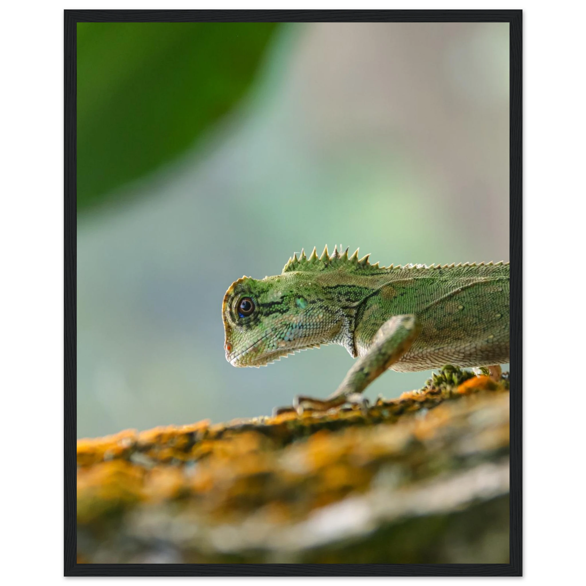 ff863e60-702b-46eb-a3aa-515de28611ff