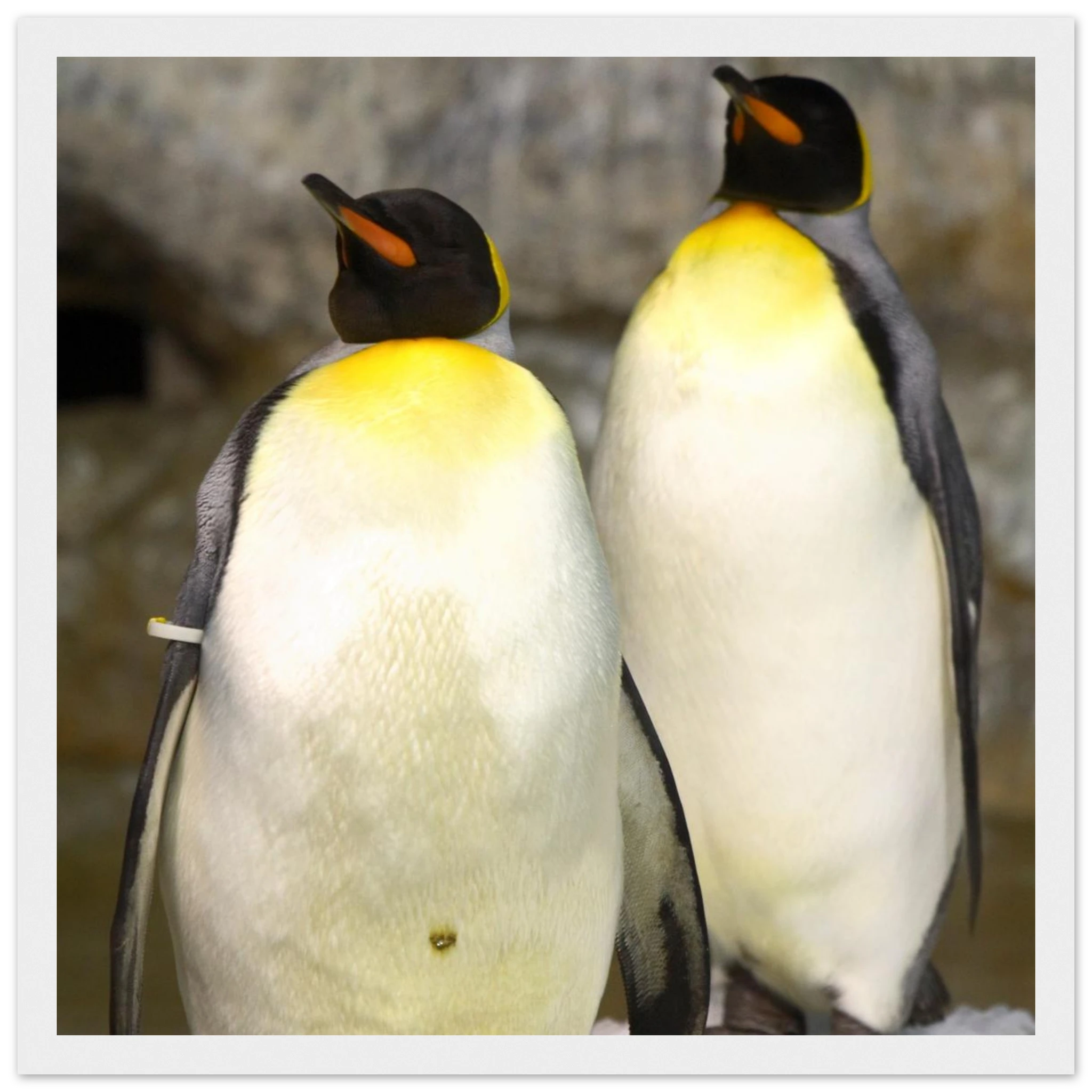 ffab521b-b719-4020-87a0-2ac3863b815f